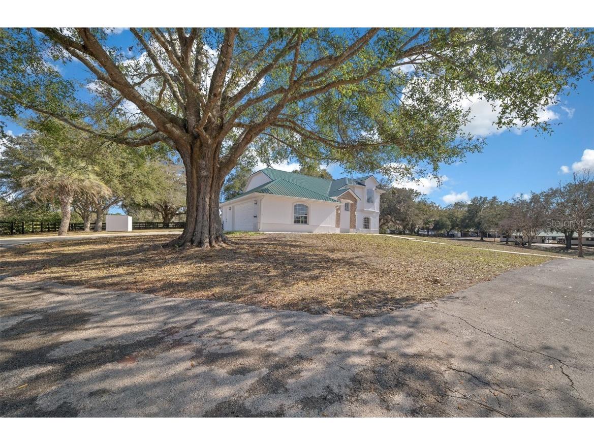 16921 SE 19th Court Summerfield FL 34491 OM693699 image52