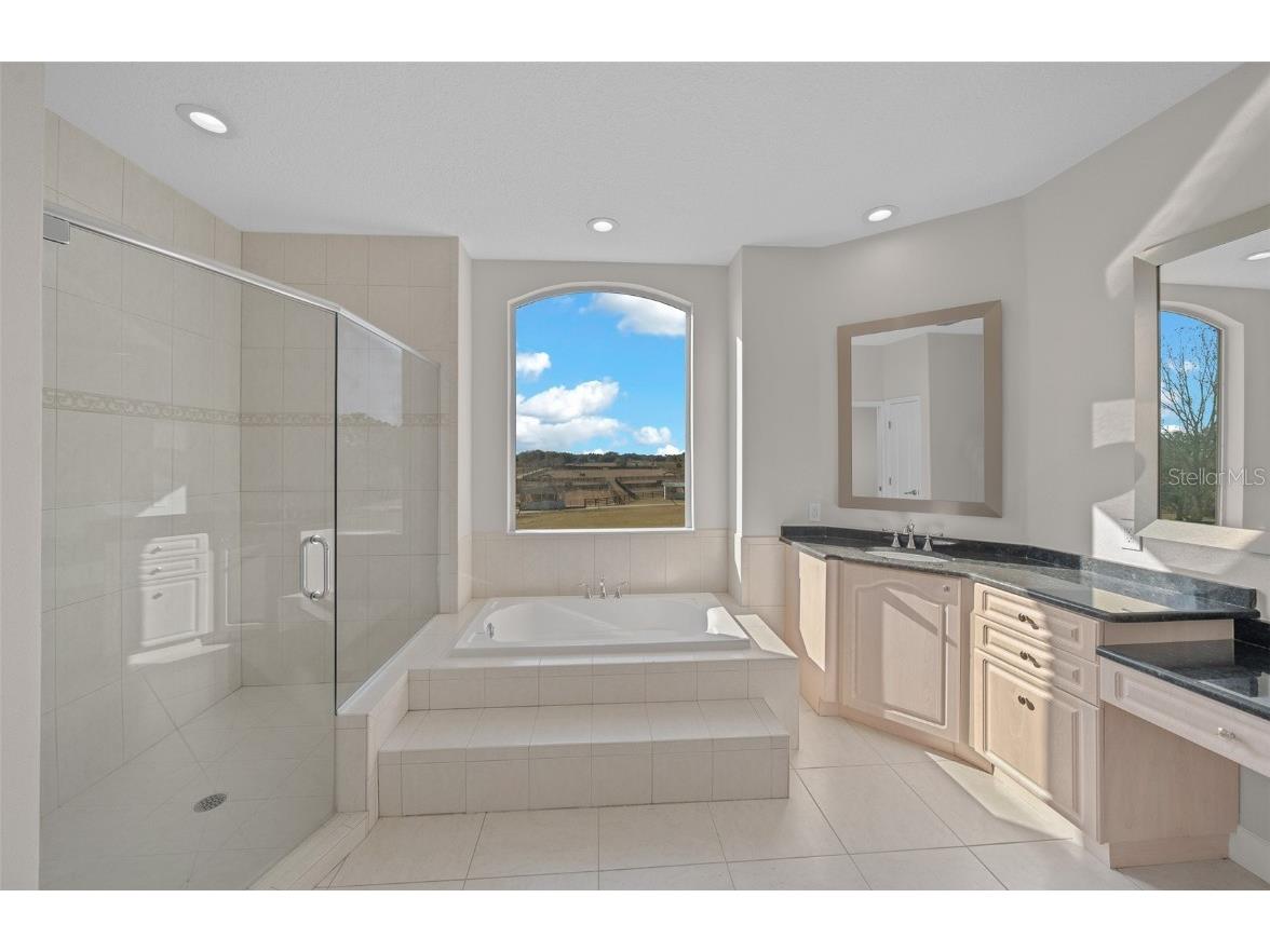 16921 SE 19th Court Summerfield FL 34491 OM693699 image80