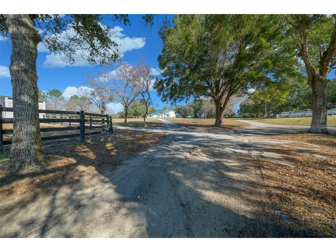 16921 SE 19th Court Summerfield FL 34491 OM693699 image93