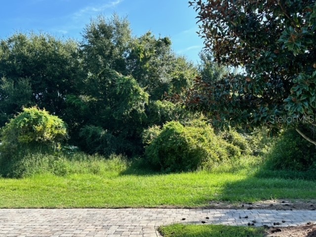 16922 Vinci Way FL 34756 - LAKE SIENA G5087018 image1