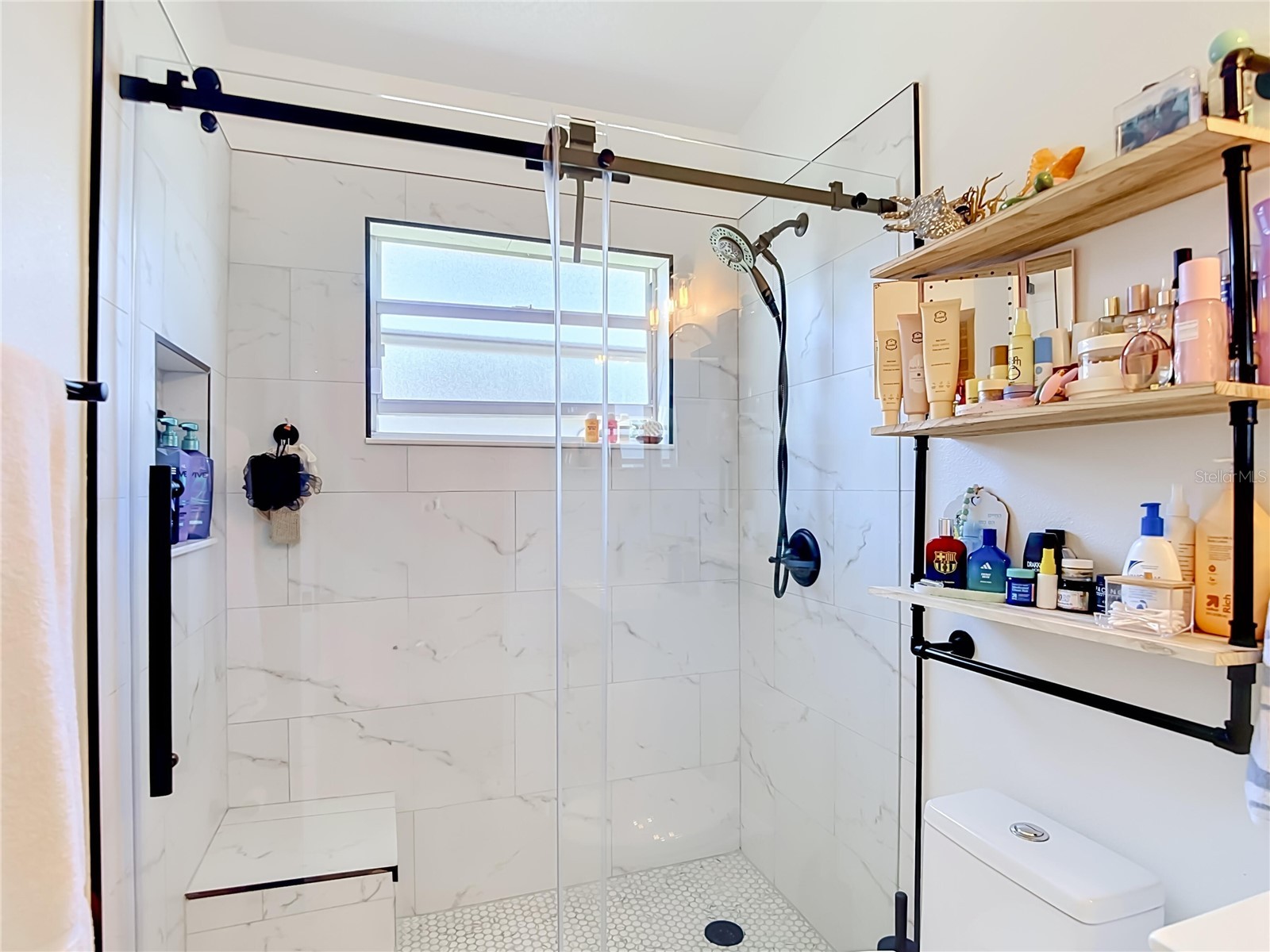 16923 Melissa Ann Drive Lutz FL 33558 O6408945 image25