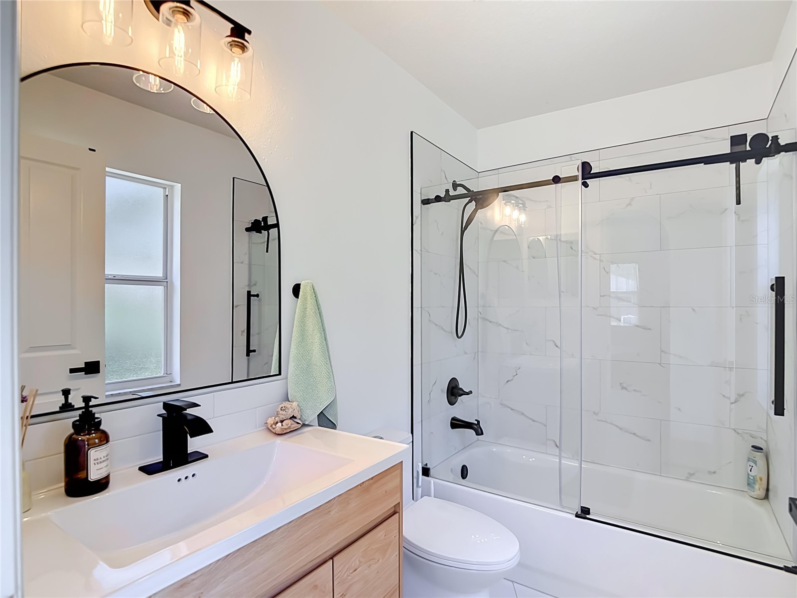 16923 Melissa Ann Drive Lutz FL 33558 O6408945 image28