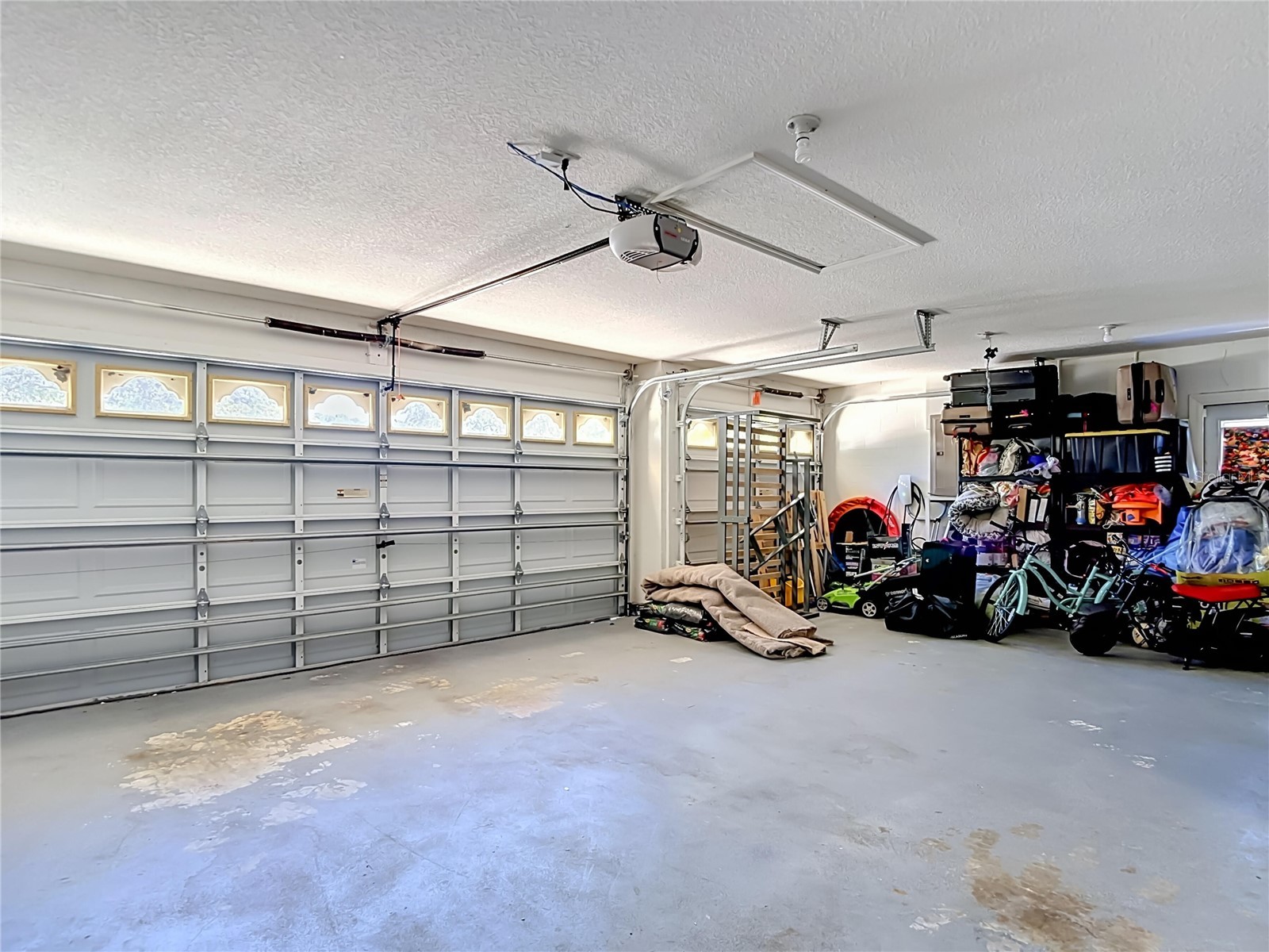 16923 Melissa Ann Drive Lutz FL 33558 O6408945 image38