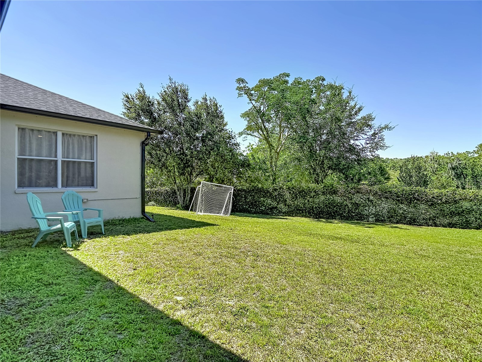 16923 Melissa Ann Drive Lutz FL 33558 O6408945 image43