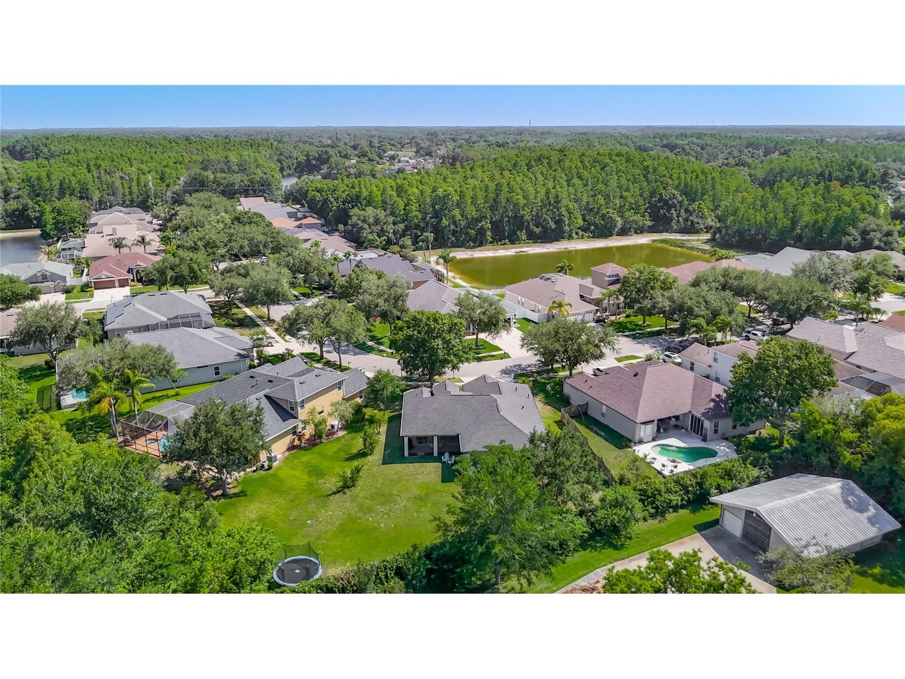 16923 Melissa Ann Drive Lutz FL 33558 O6408945 image48