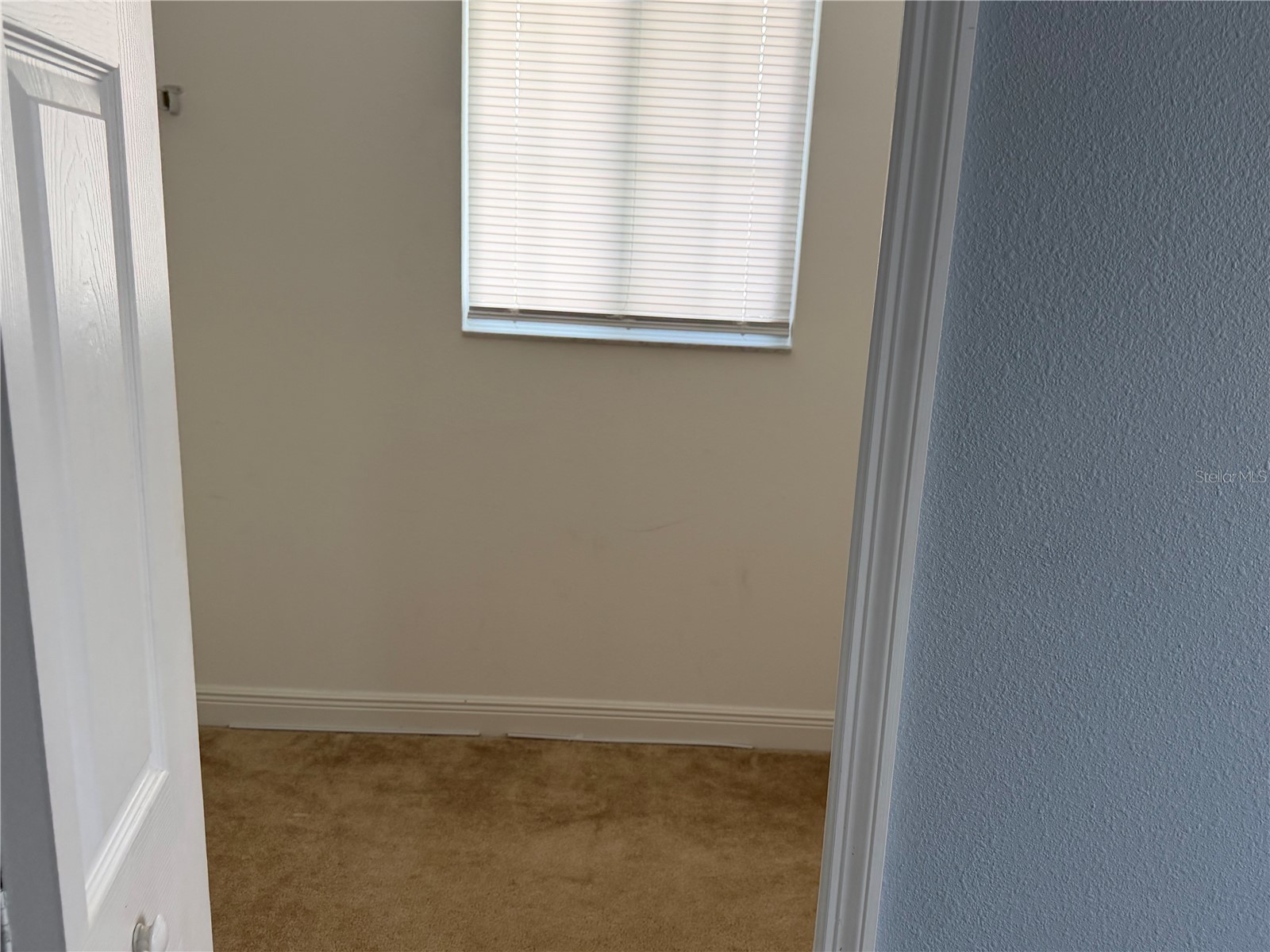 16924 Champlain Street Clermont FL 34714 O6417572 image33