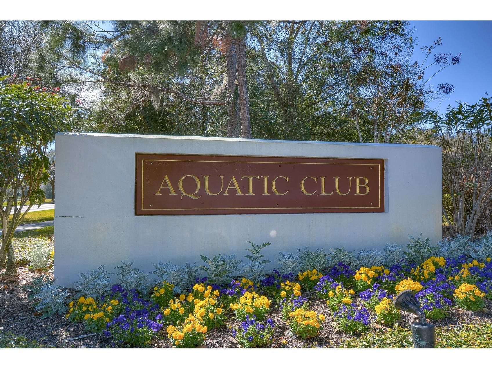 16926 Hawkridge Road Lithia FL 33547 TB8490173 image39