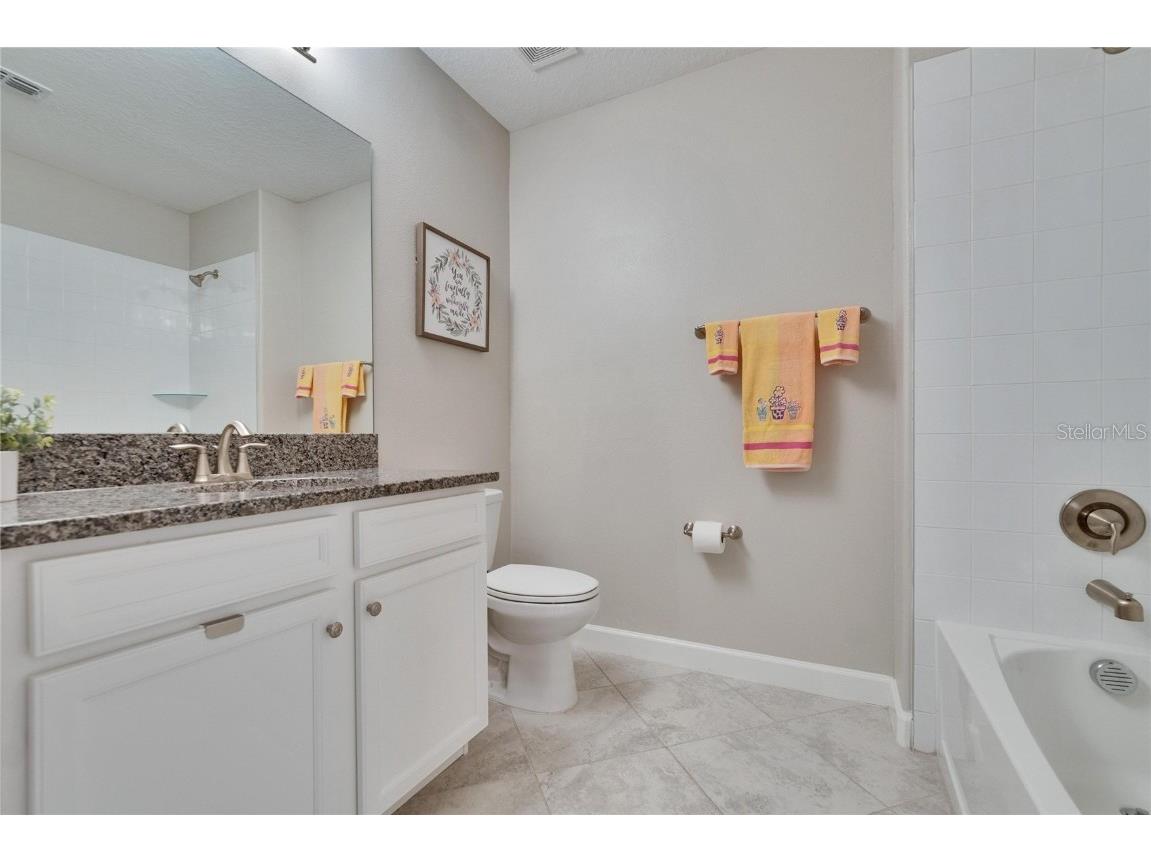 16927 April Plush Drive Wimauma FL 33598 TB8365434 image10