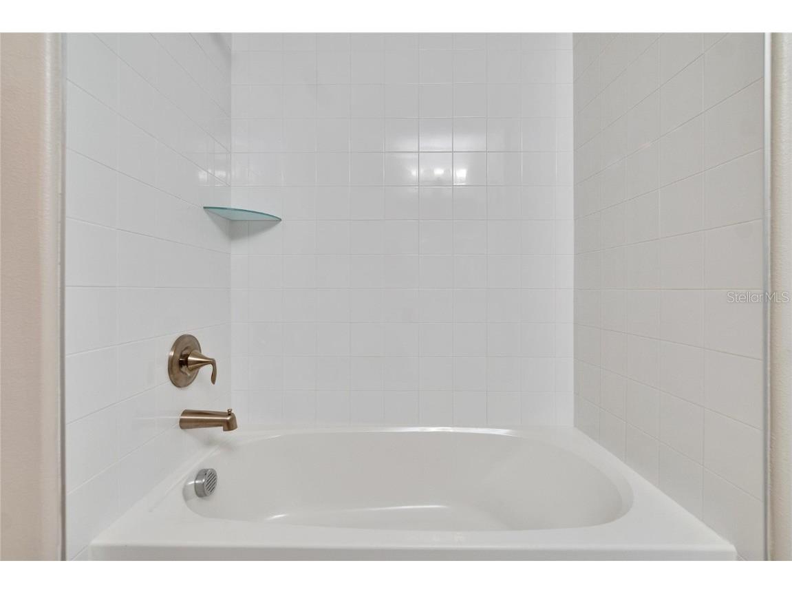 16927 April Plush Drive Wimauma FL 33598 TB8365434 image11