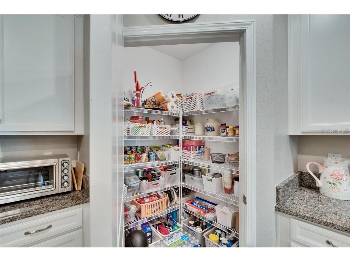 16927 April Plush Drive Wimauma FL 33598 TB8365434 image13