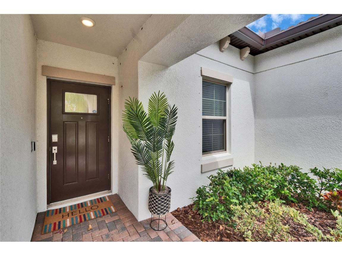 16927 April Plush Drive Wimauma FL 33598 TB8365434 image3