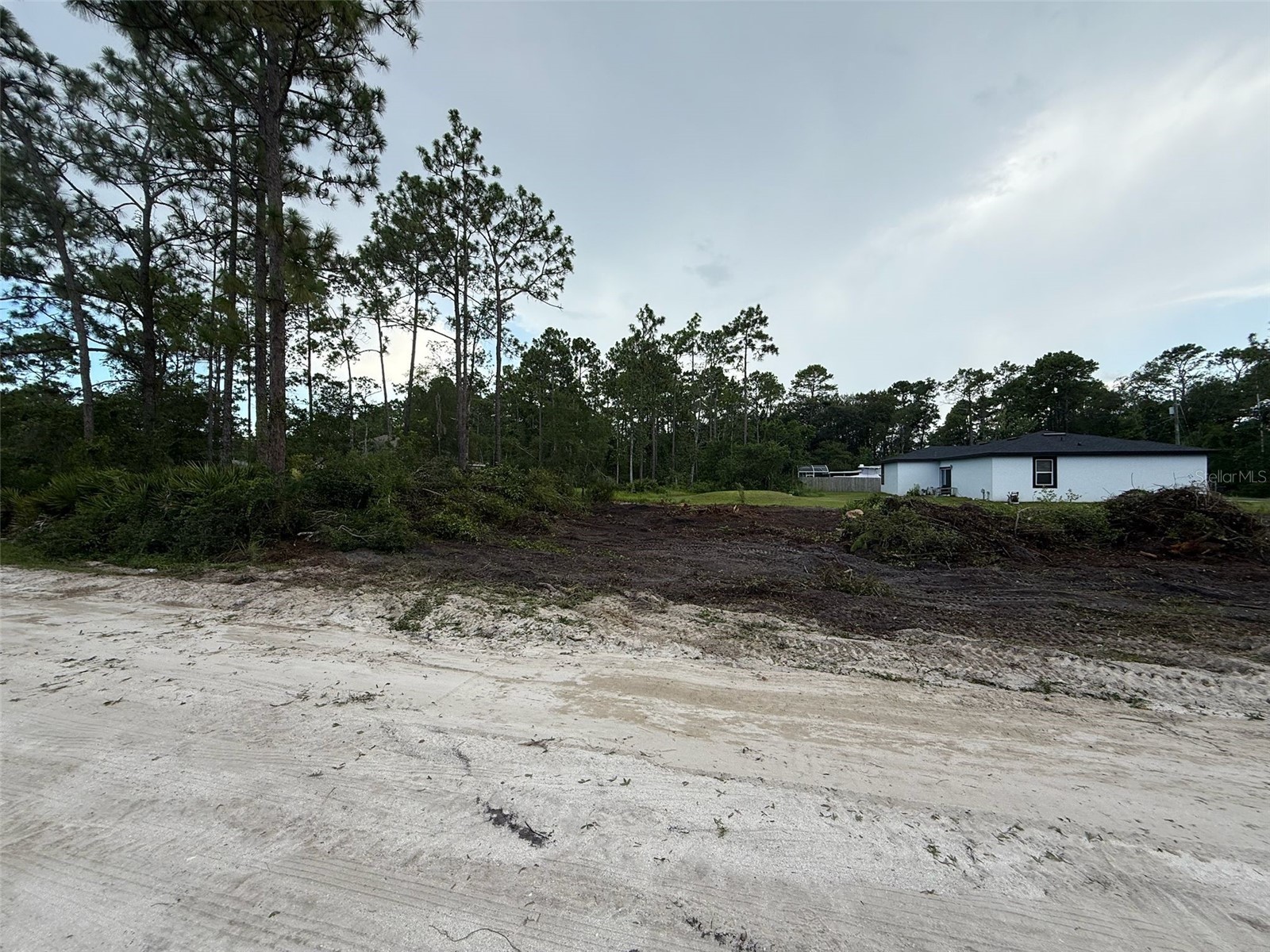 1693 8th Ave Deland FL 32724 TB8527903 image1