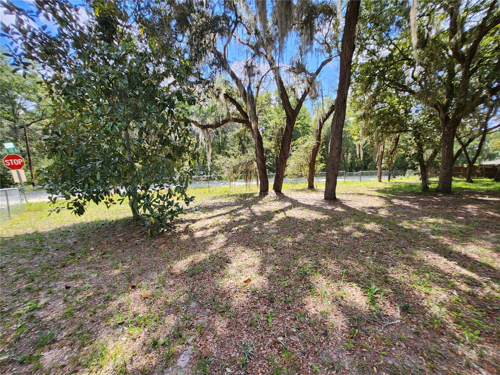 16930 SE 1st Lane Silver Springs FL 34488 OM721006 image39