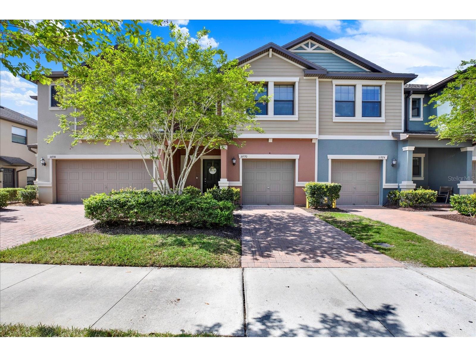 16930 Storyline Drive Land O Lakes FL 34638 TB8492555 image1