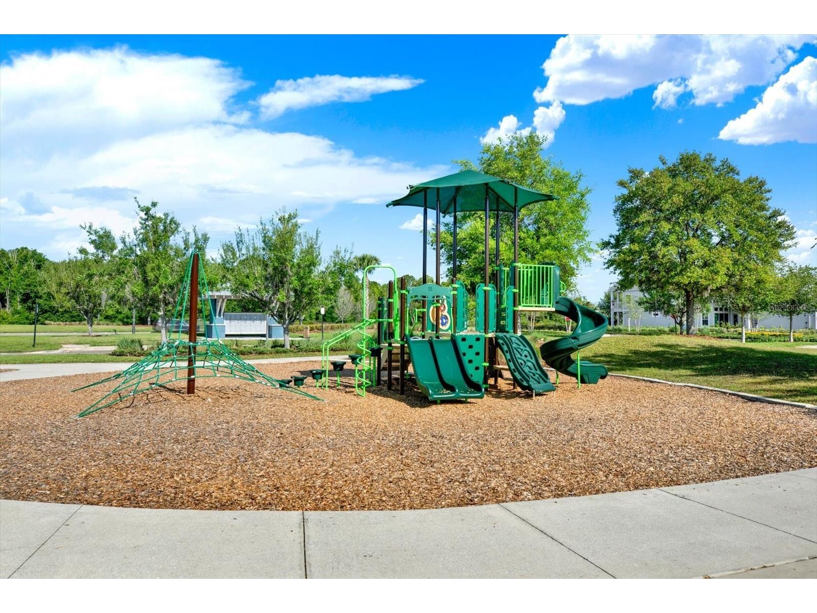 16930 Storyline Drive Land O Lakes FL 34638 TB8492555 image22