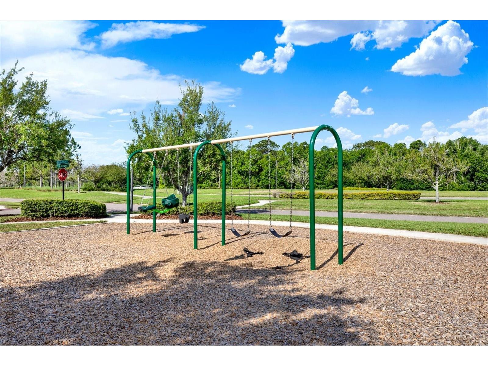 16930 Storyline Drive Land O Lakes FL 34638 TB8492555 image24