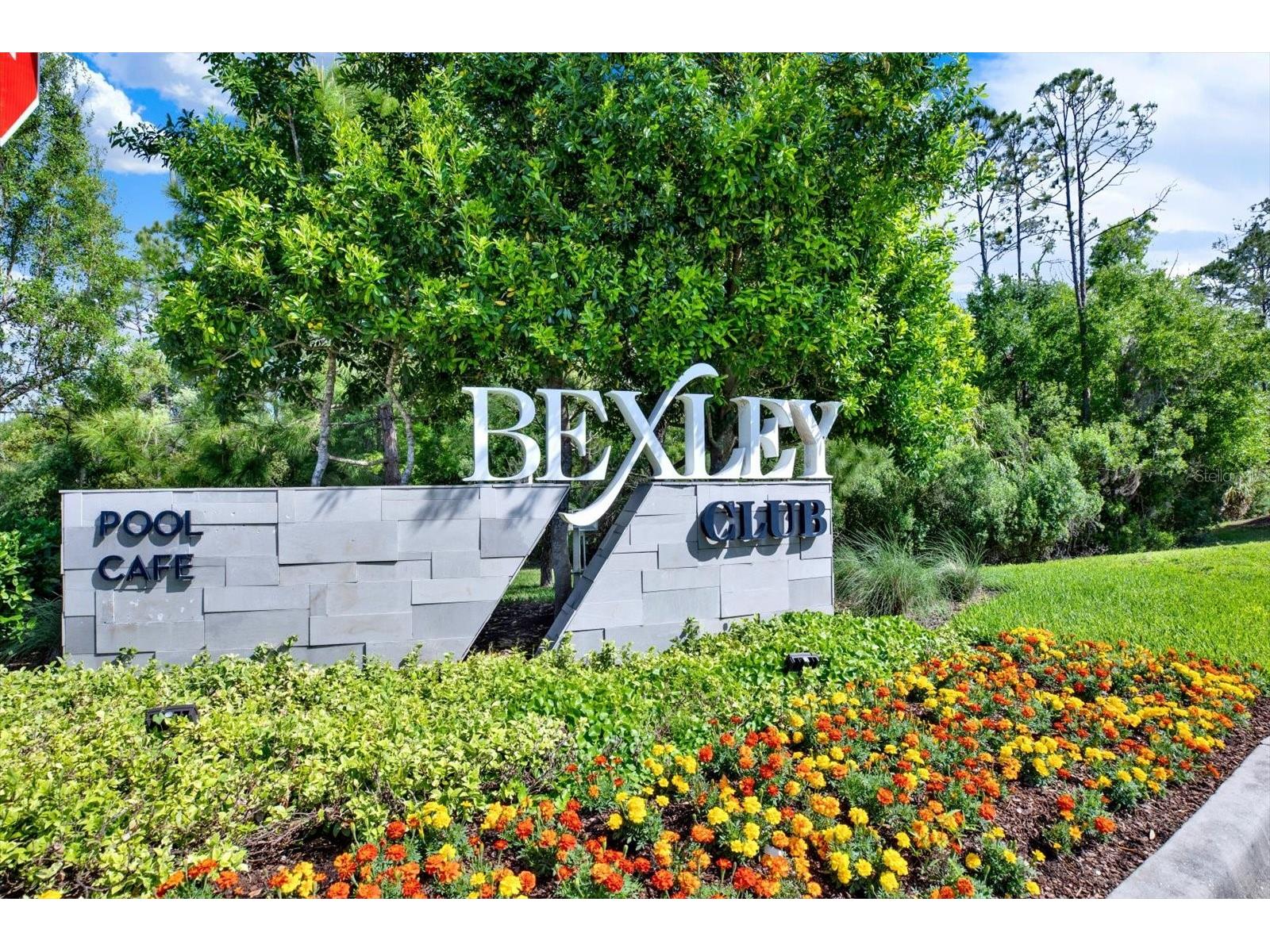 16930 Storyline Drive Land O Lakes FL 34638 TB8492555 image25