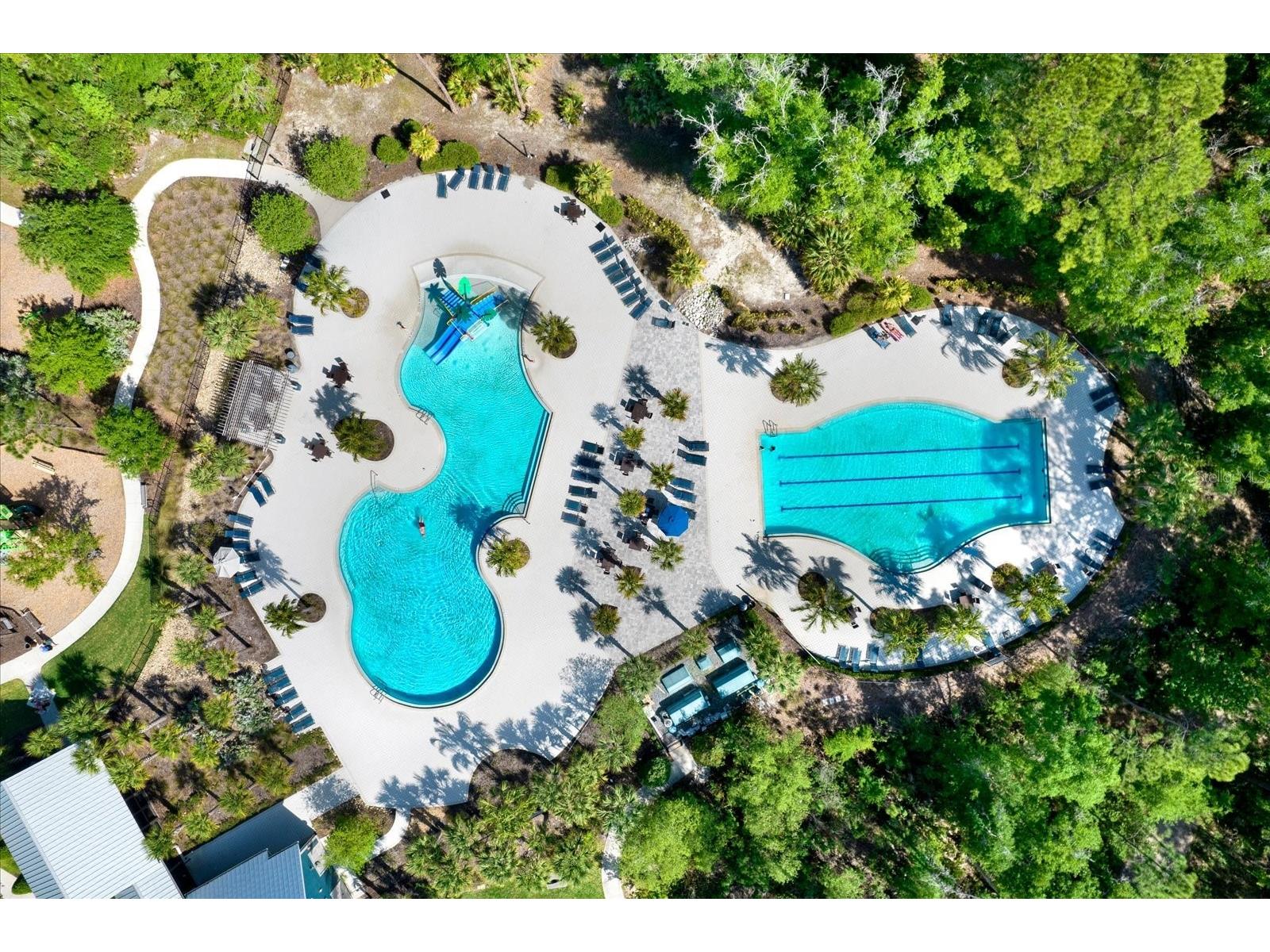 16930 Storyline Drive Land O Lakes FL 34638 TB8492555 image27