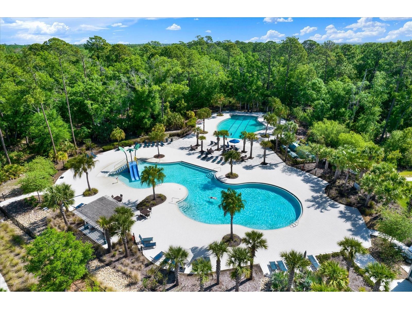 16930 Storyline Drive Land O Lakes FL 34638 TB8492555 image29