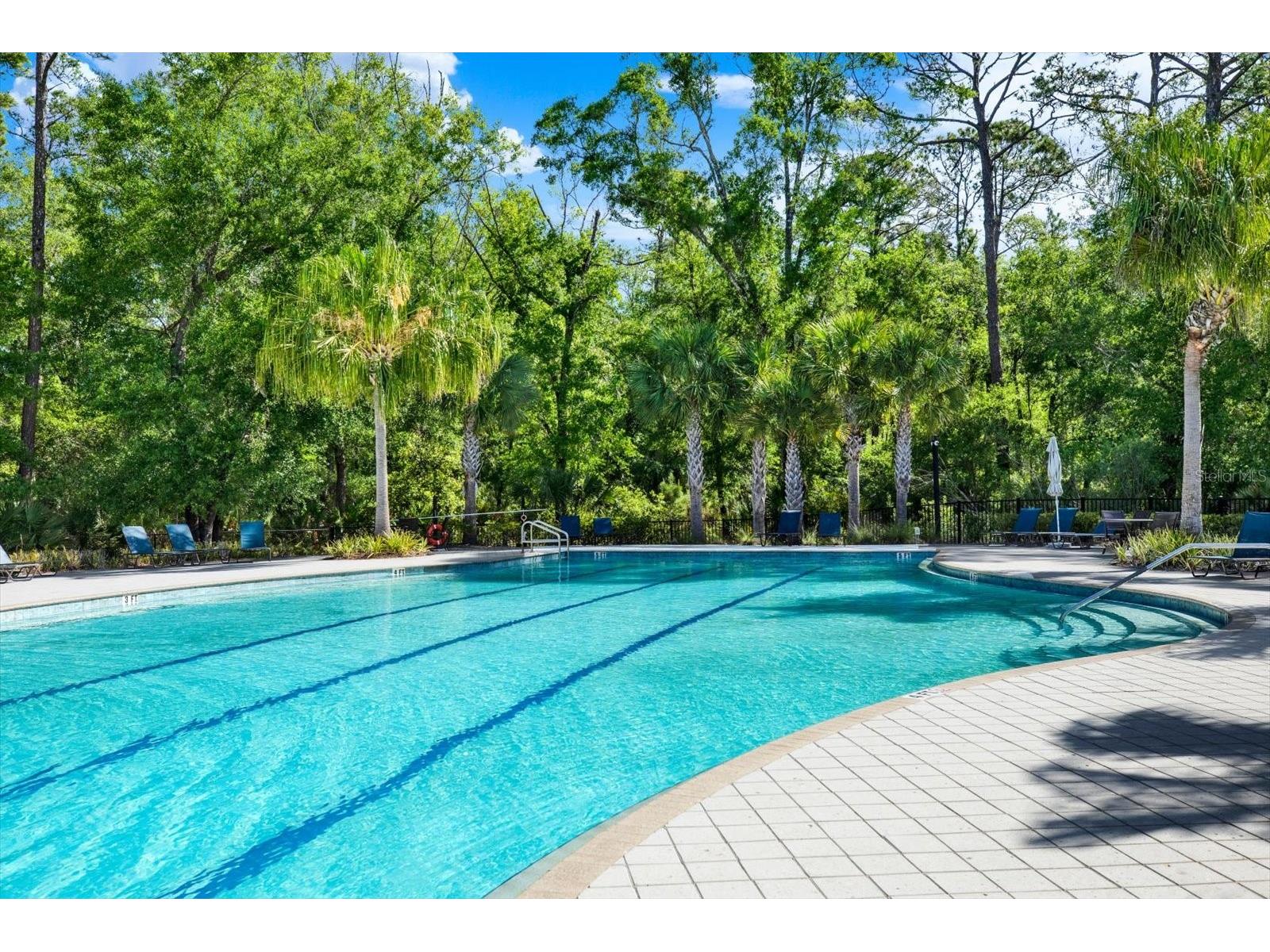 16930 Storyline Drive Land O Lakes FL 34638 TB8492555 image33