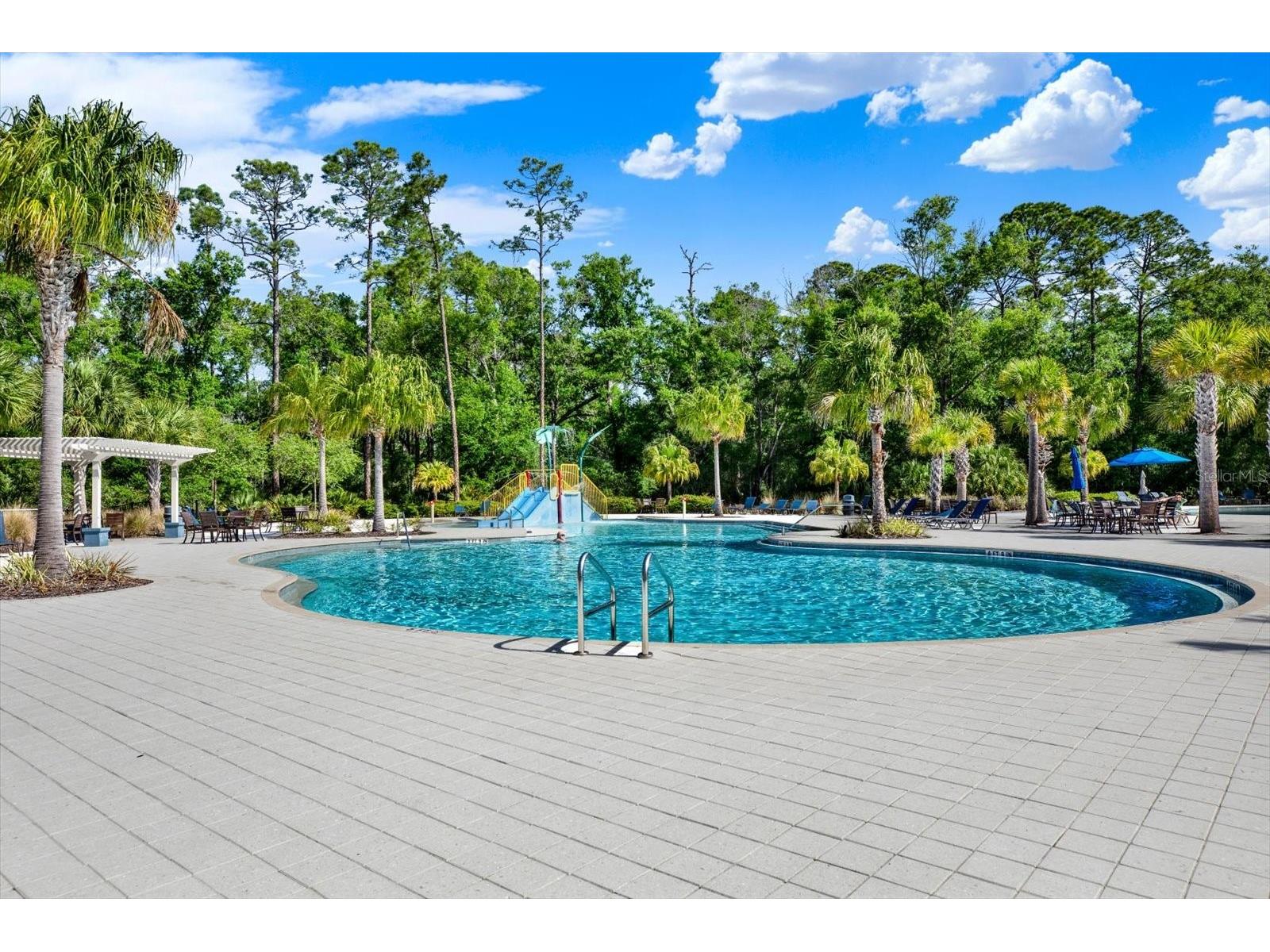16930 Storyline Drive Land O Lakes FL 34638 TB8492555 image34