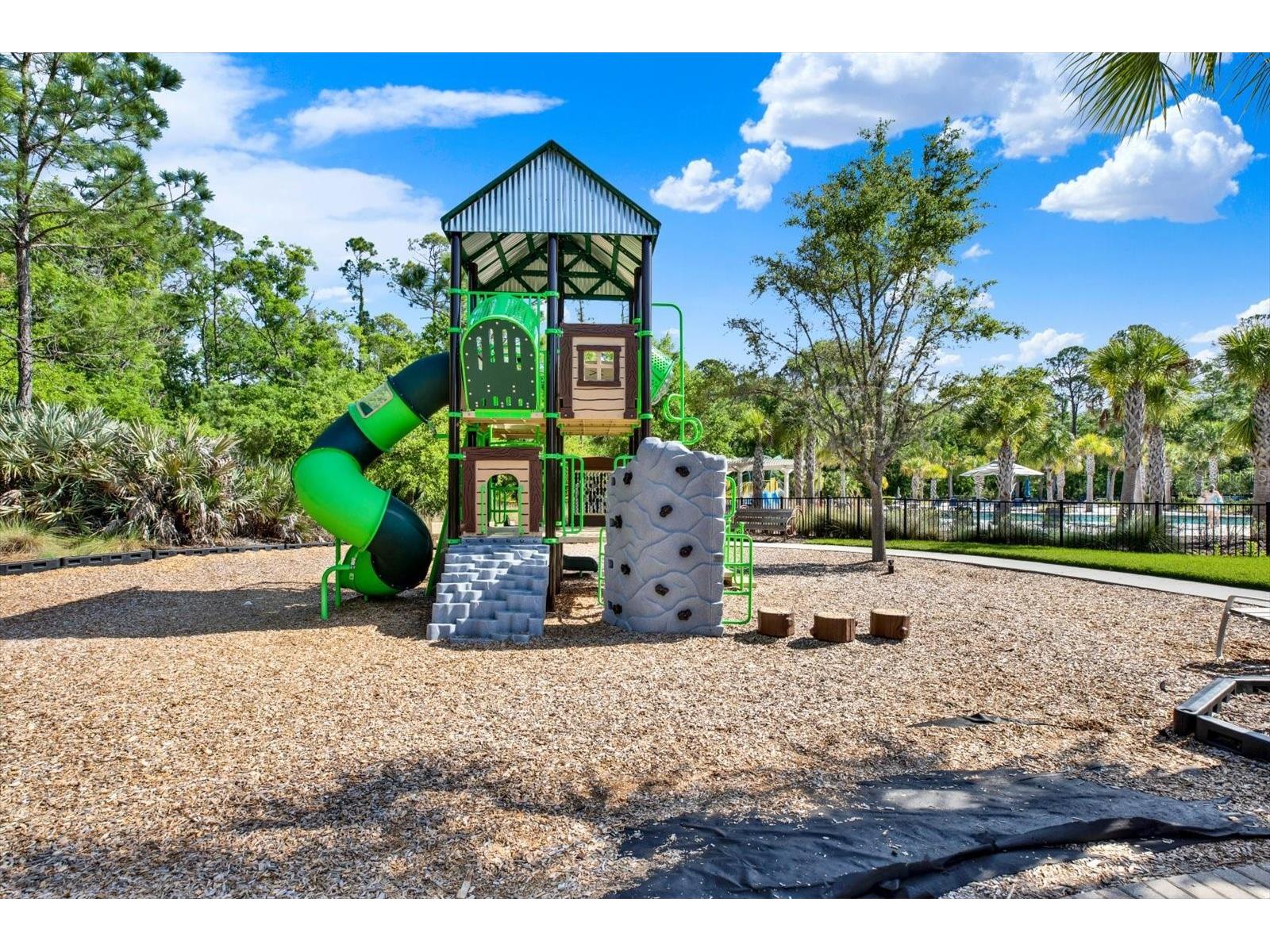 16930 Storyline Drive Land O Lakes FL 34638 TB8492555 image36