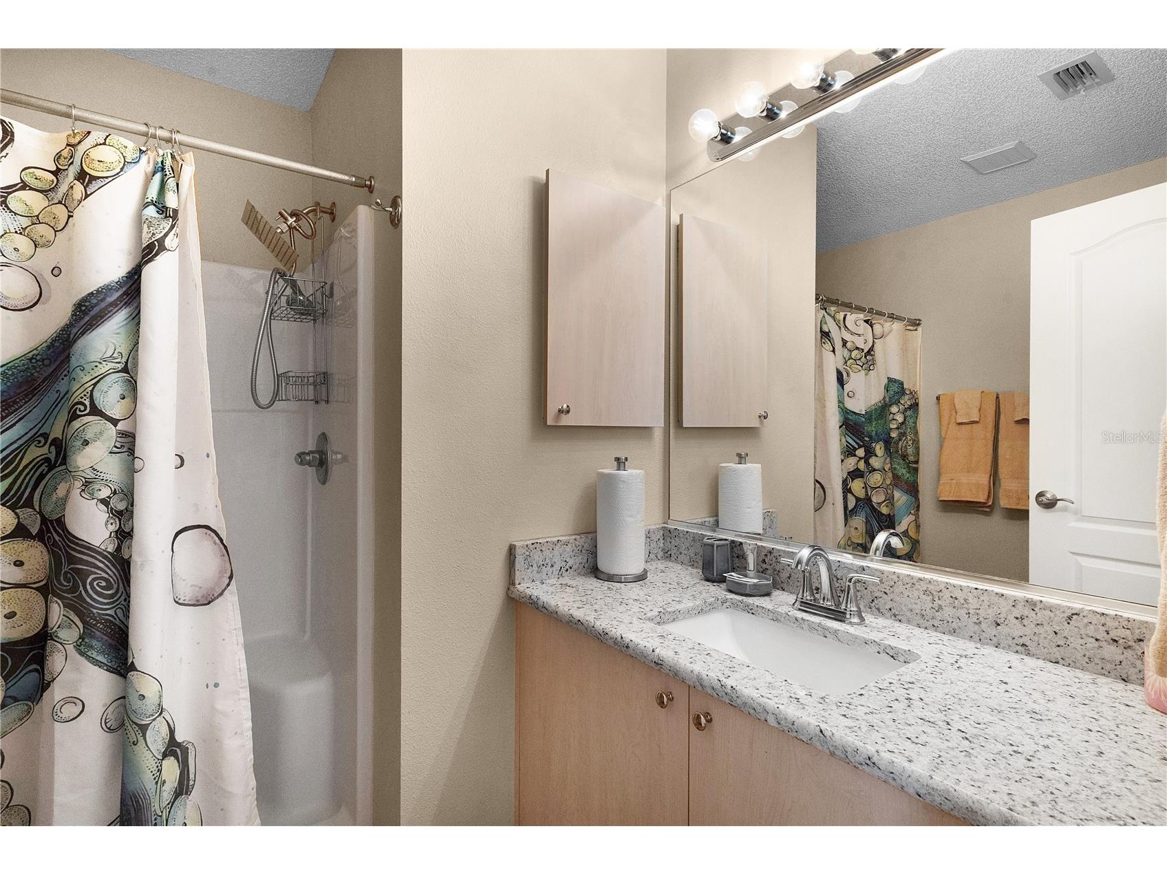 16933 SE 94th Sunnybrook Circle The Villages FL 32162 G5113815 image20