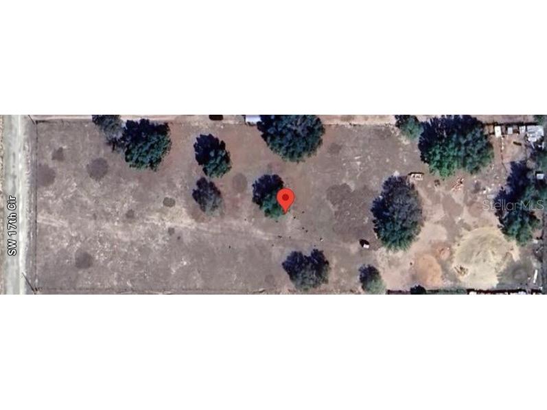 16933 SW 17th Circle Ocala FL 34473 OM679753 image1