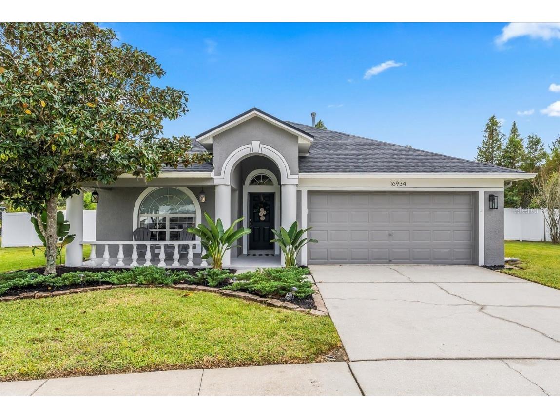 16934 Nikki Lane Odessa FL 33556 T3486099 image1