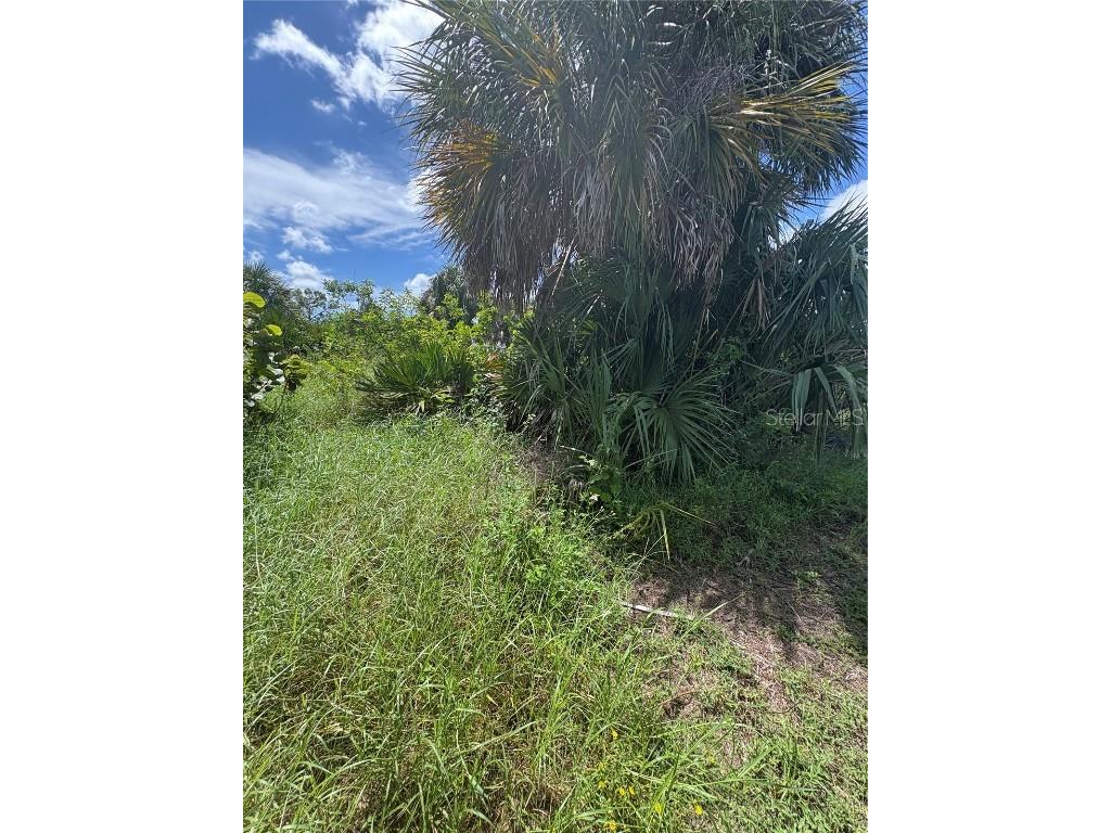 16936 Ohara Drive Port Charlotte FL 33948 C7514294 image6