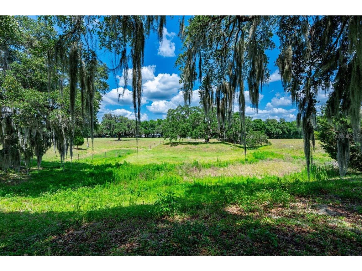 16938 Powerline Road Dade City FL 33523 T3525417 image40