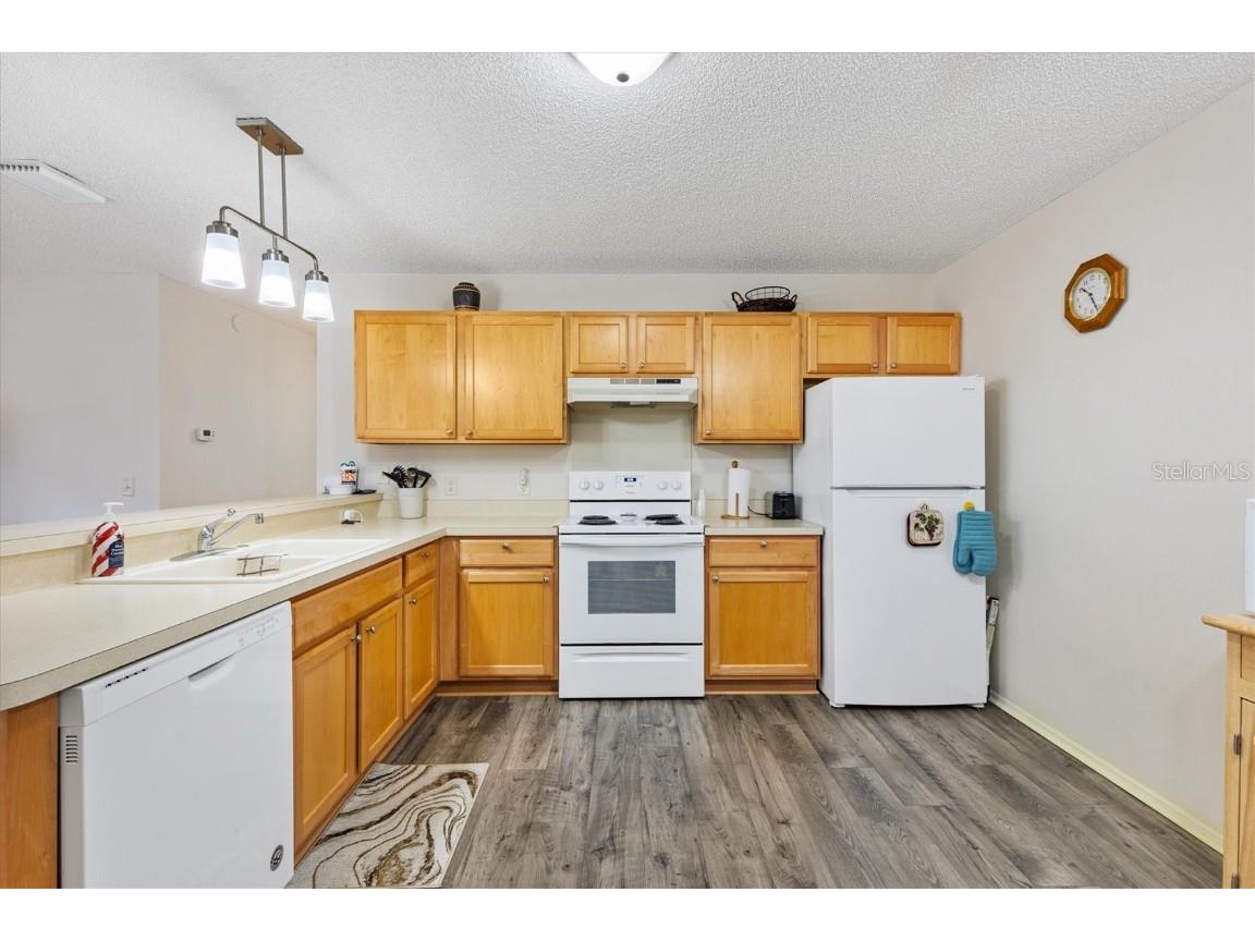 16938 SE 94th Sunnybrook Circle The Villages FL 32162 G5098750 image16