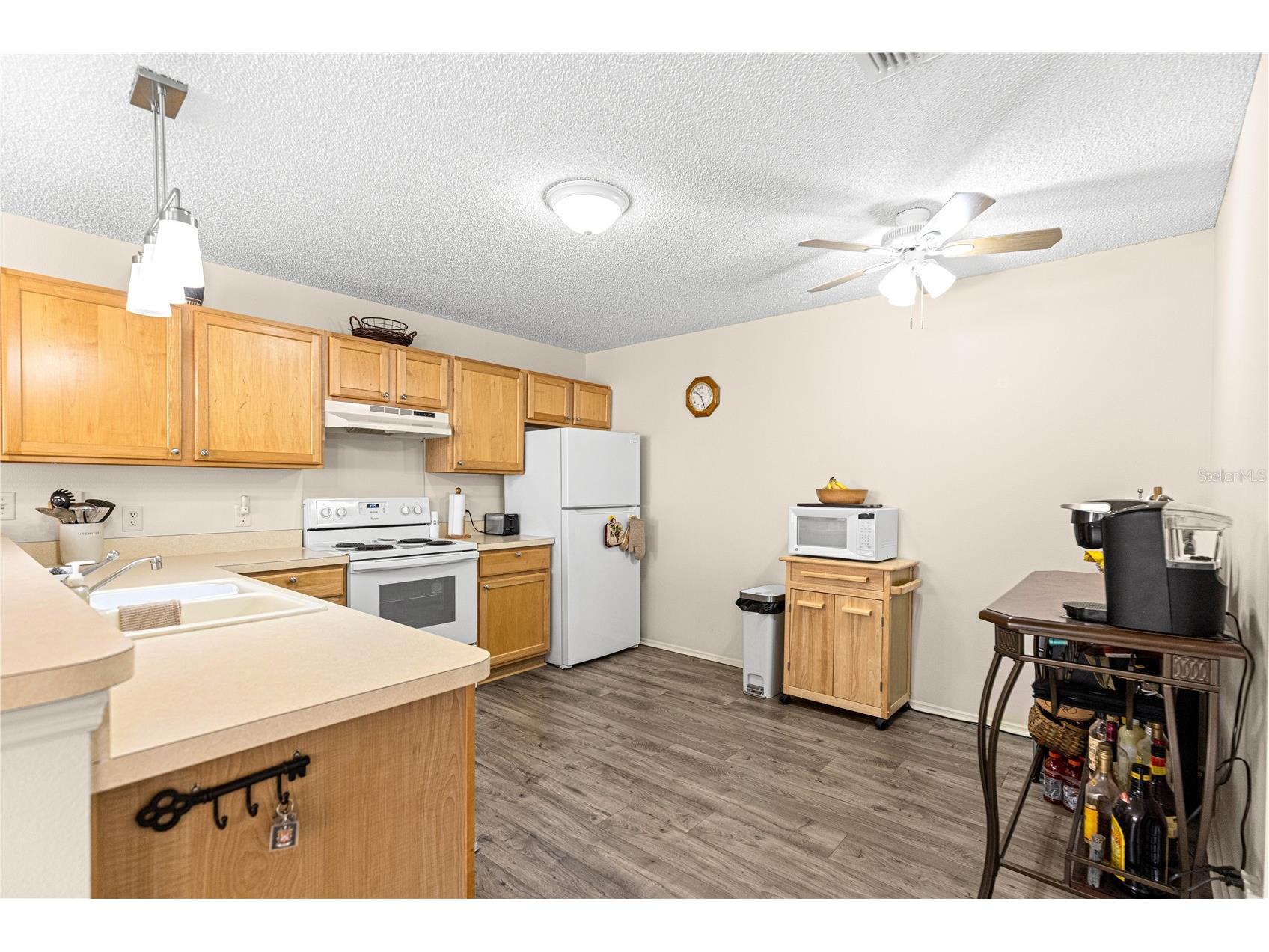 16938 SE 94th Sunnybrook Circle The Villages FL 32162 G5108710 image15