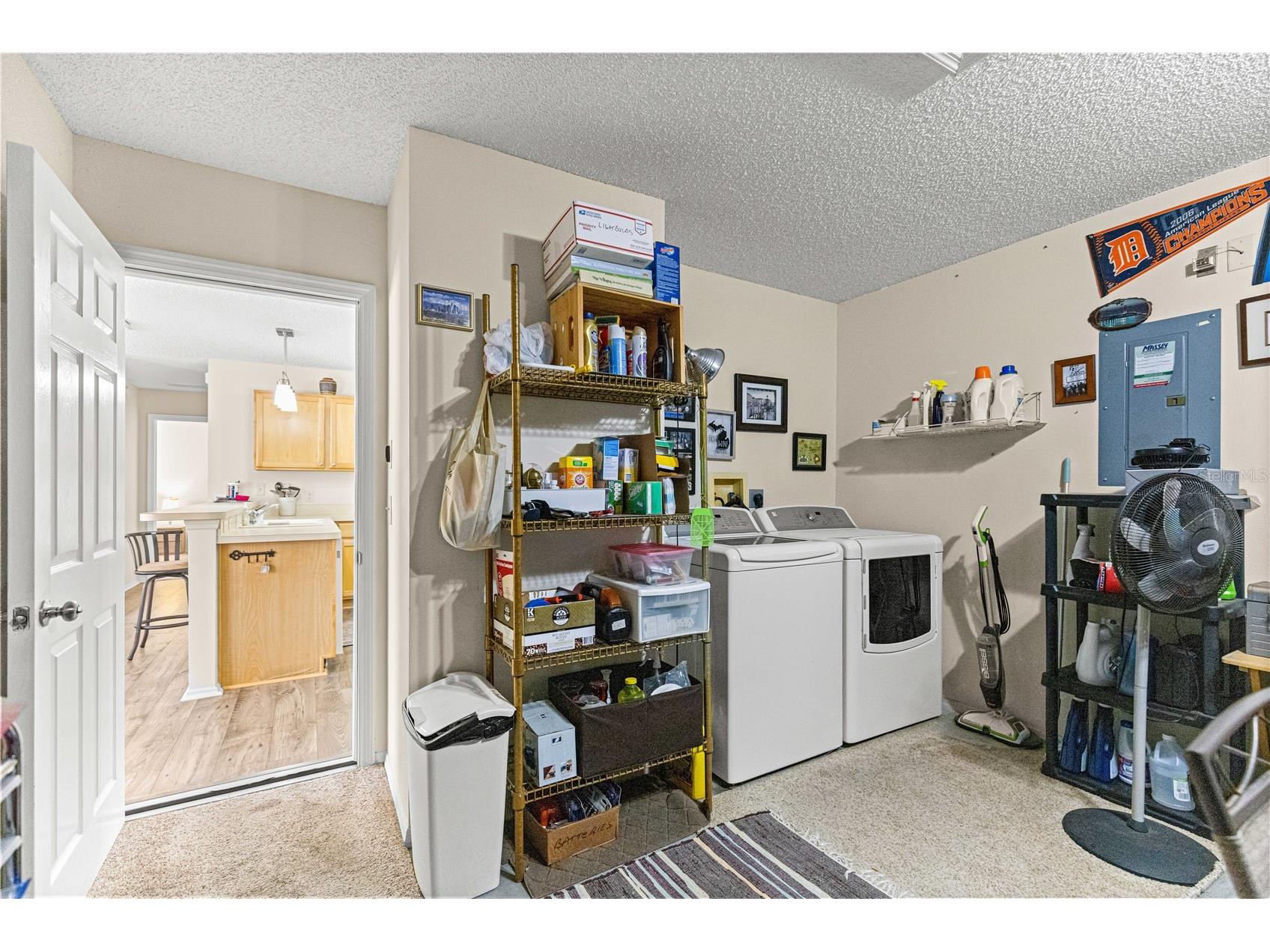 16938 SE 94th Sunnybrook Circle The Villages FL 32162 G5108710 image33