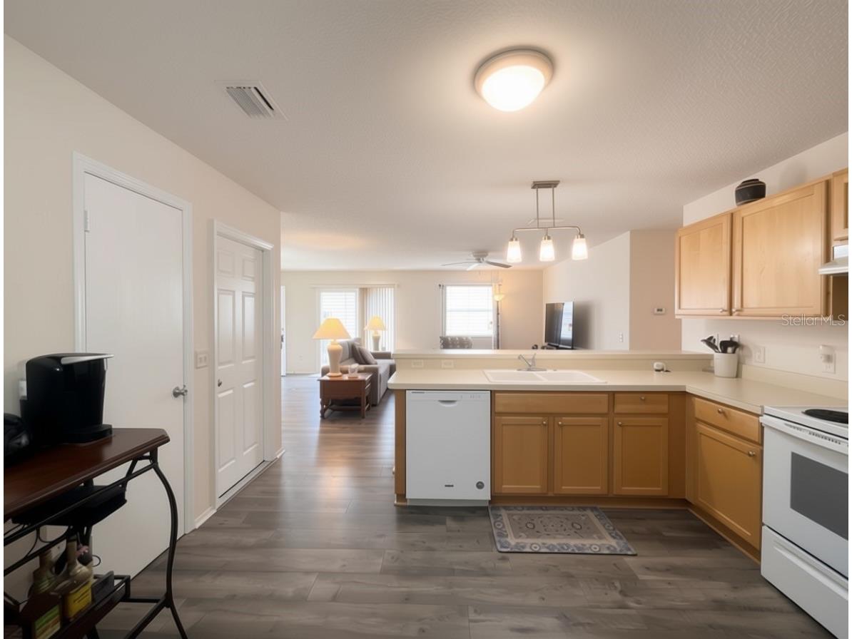 16938 SE 94th Sunnybrook Circle The Villages FL 32162 G5108710 image4