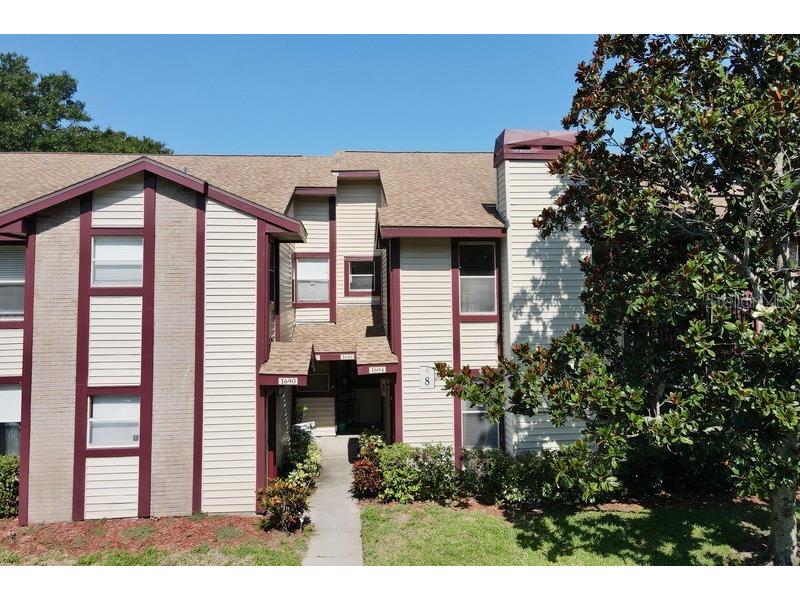 1694 Hampton Lane #805 Palm Harbor FL 34683 T3451562 image1