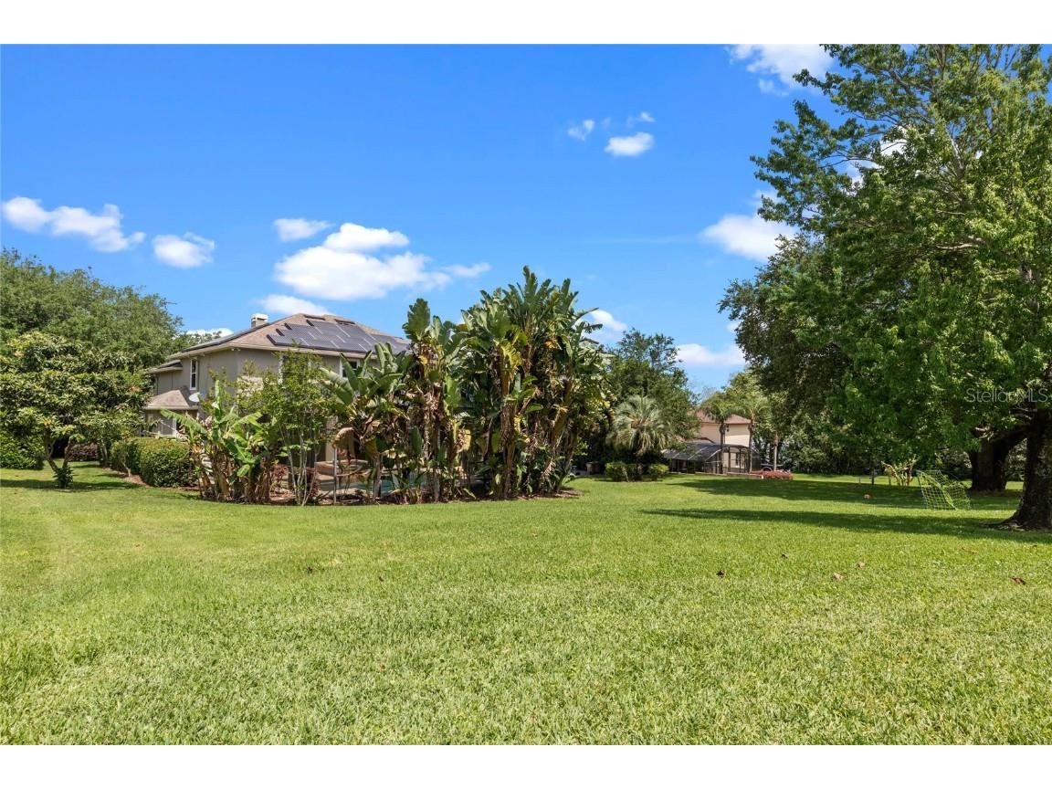 16940 Apopka Springs Boulevard Montverde FL 34756 - GOURD NECK G5105616 image36