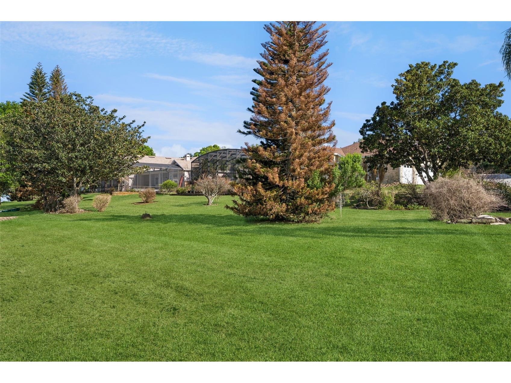 16941 Magnolia Island Boulevard Clermont FL 34711 - JOHN'S LAKE G5110222 image78