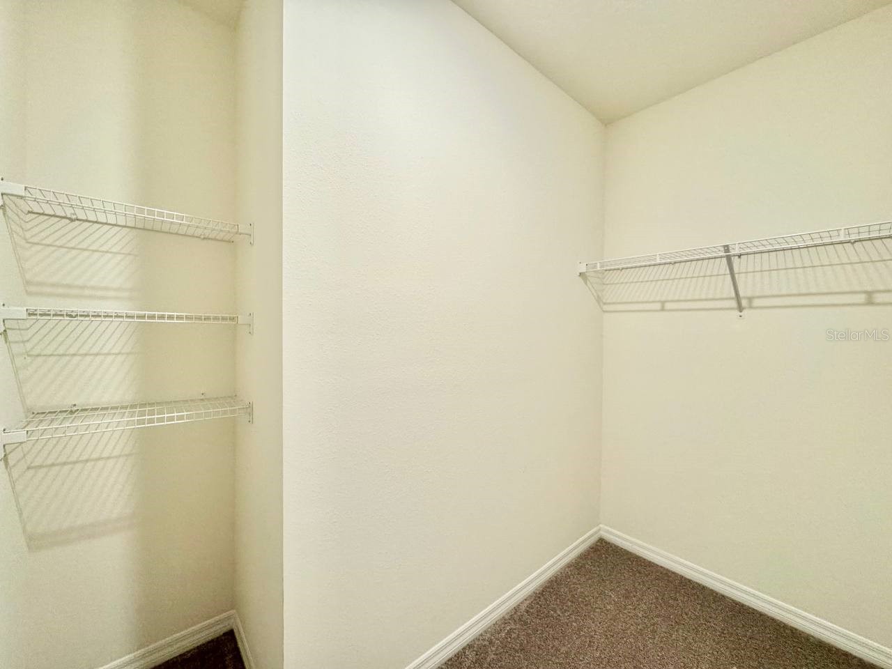 16942 Trite Bend Street Wimauma FL 33598 TB8483533 image21