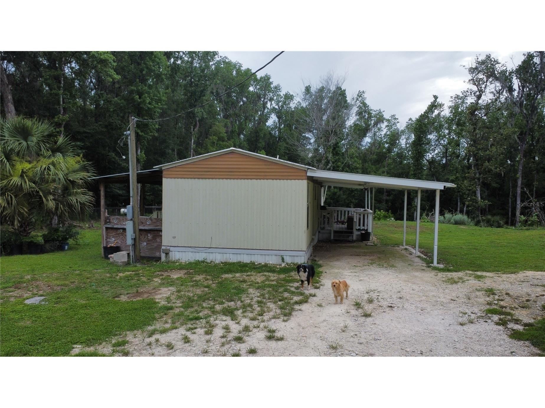16945 NW 128th Terrace Reddick FL 32686 OM725902 image11