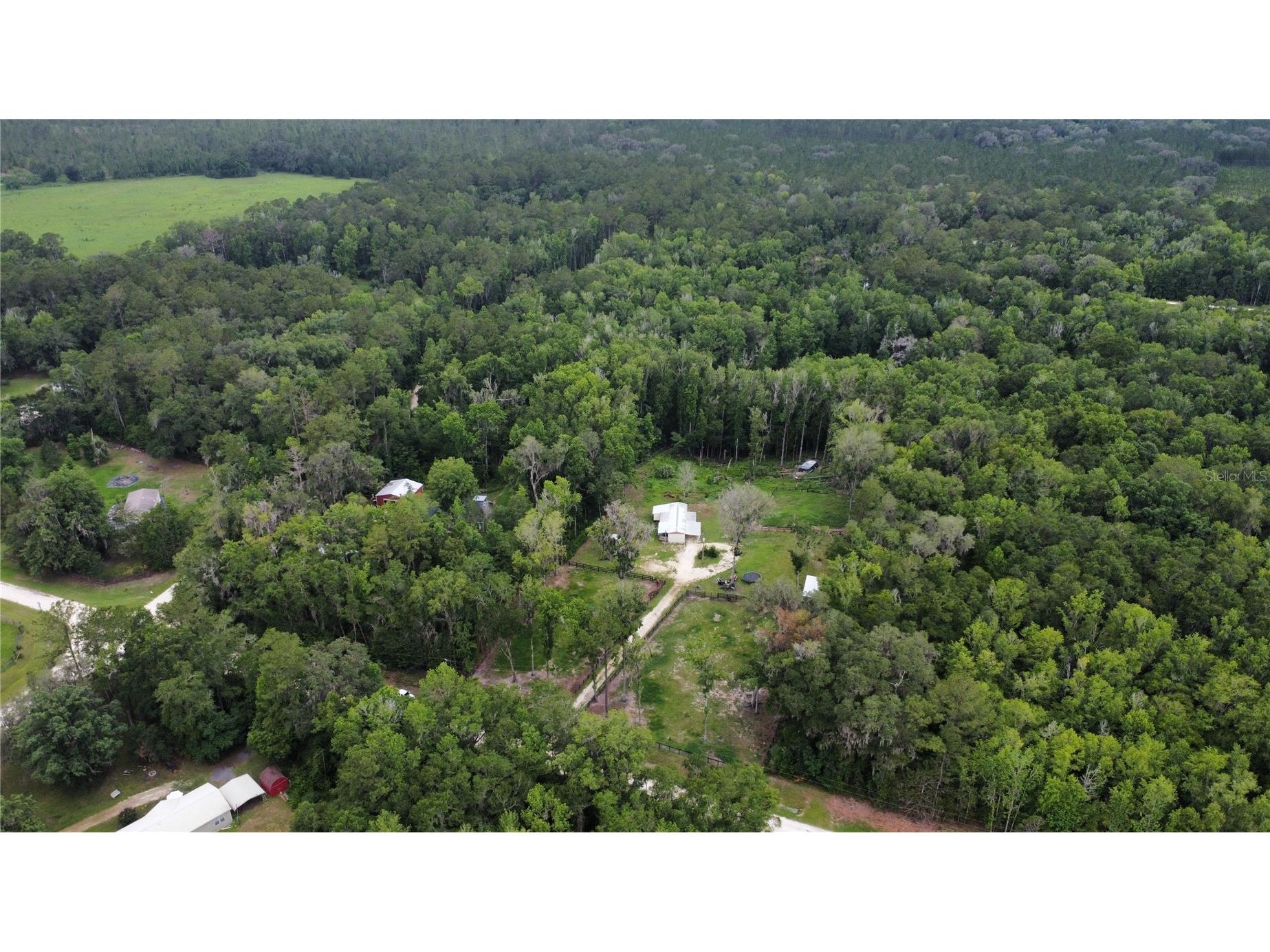 16945 NW 128th Terrace Reddick FL 32686 OM725902 image14
