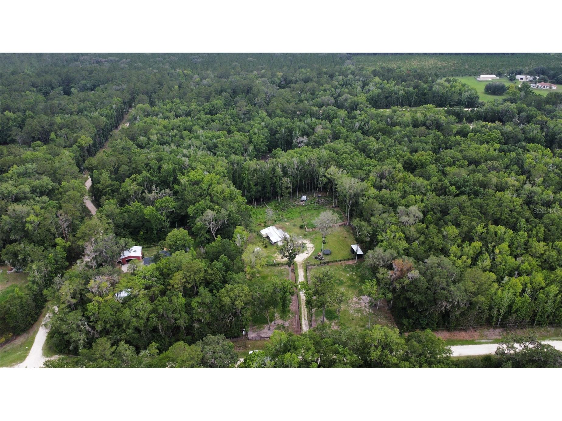 16945 NW 128th Terrace Reddick FL 32686 OM725902 image15