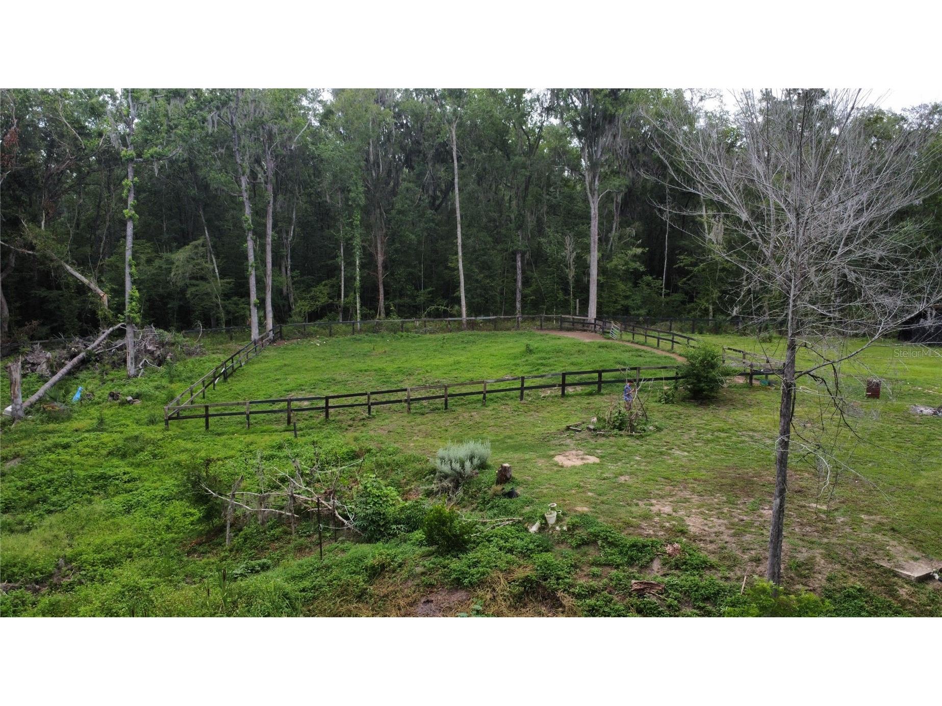 16945 NW 128th Terrace Reddick FL 32686 OM725902 image16
