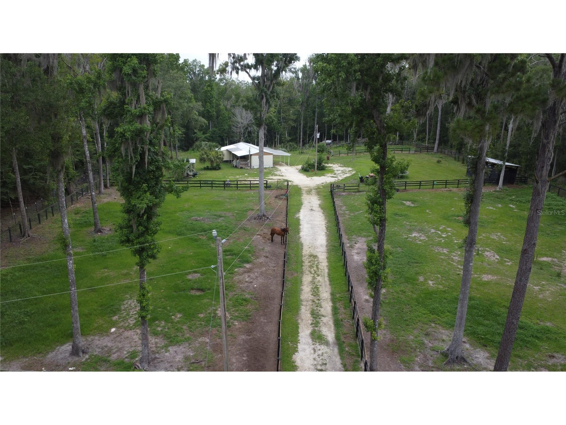 16945 NW 128th Terrace Reddick FL 32686 OM725902 image2