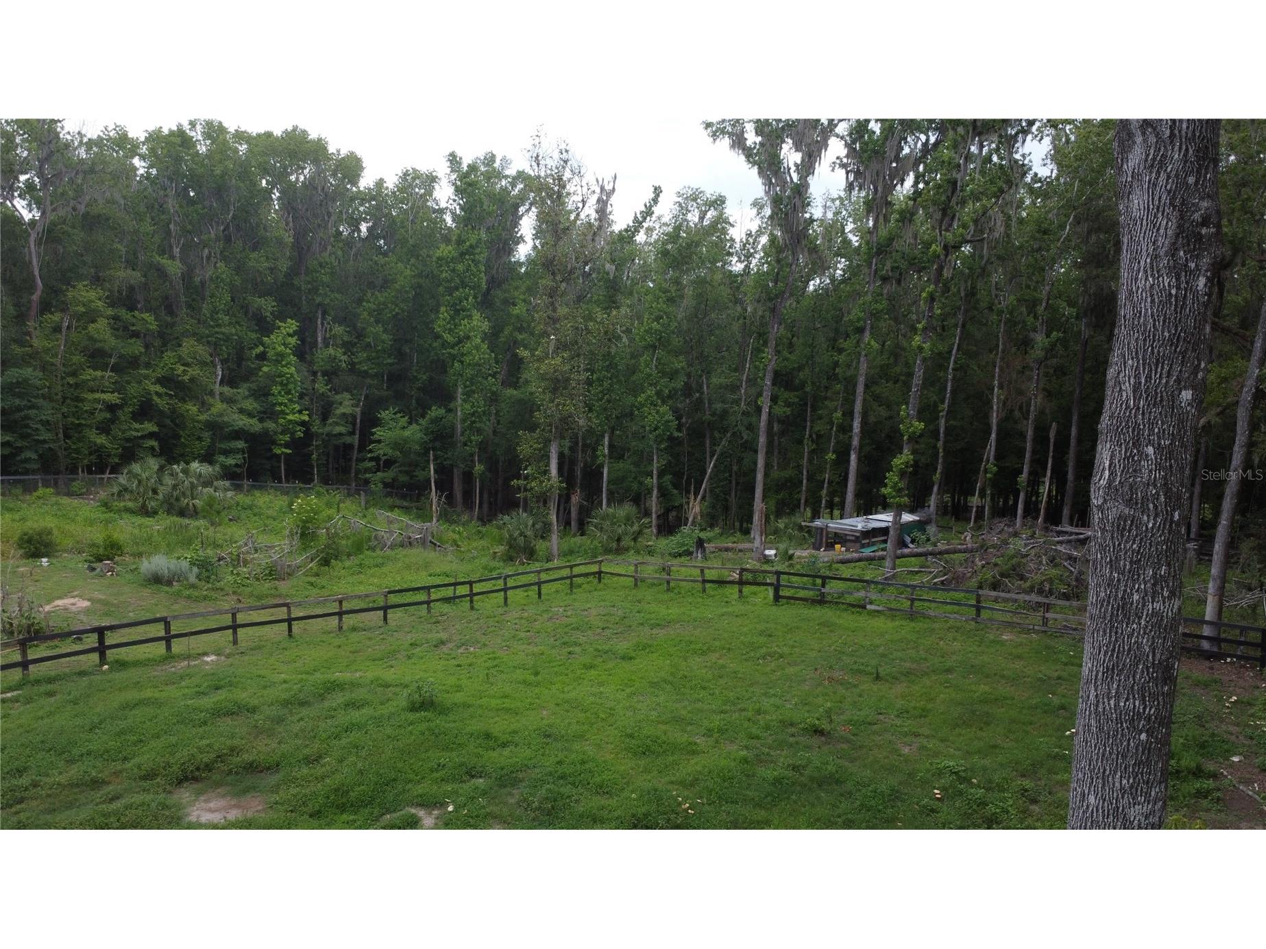 16945 NW 128th Terrace Reddick FL 32686 OM725902 image23