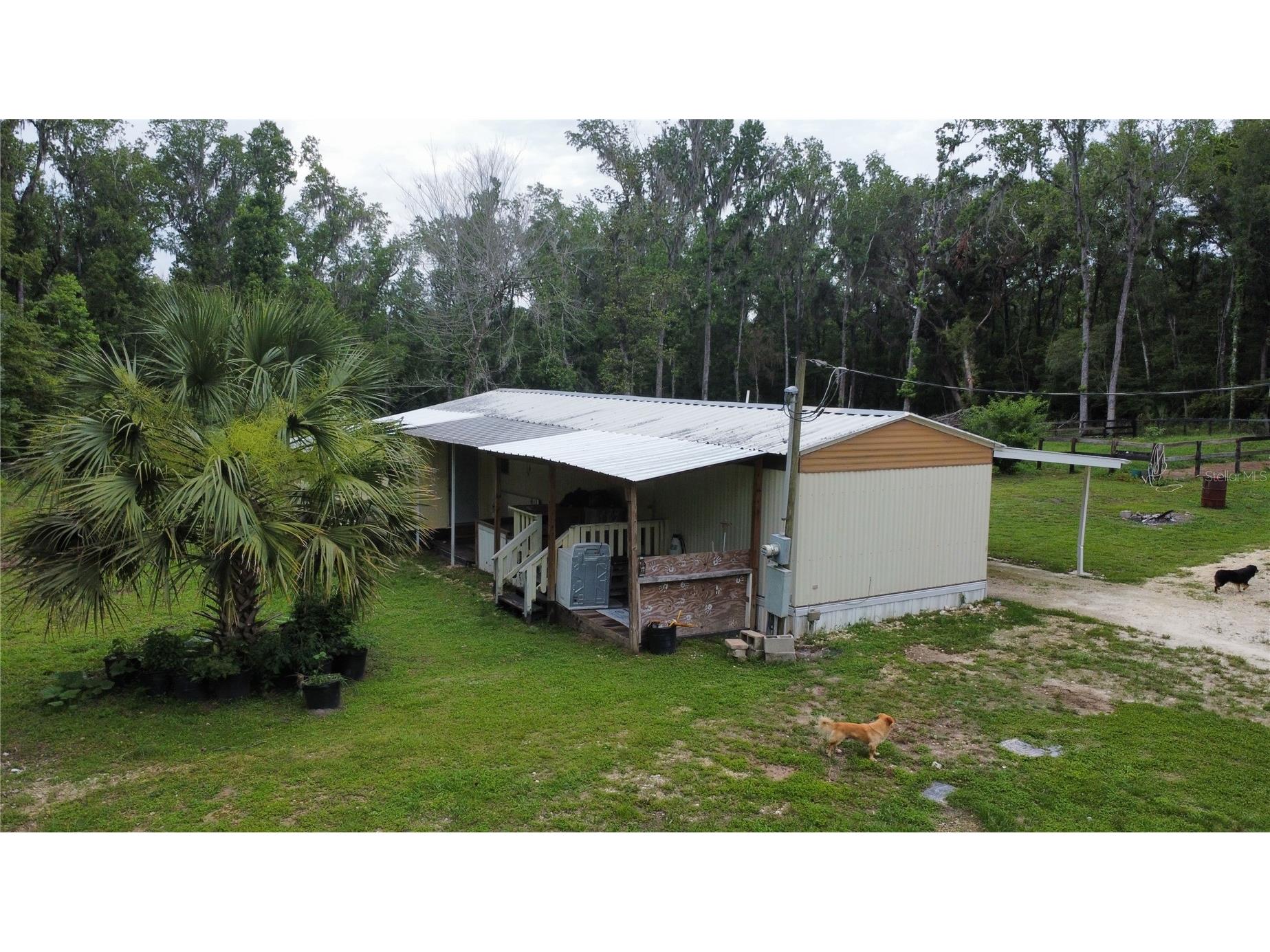 16945 NW 128th Terrace Reddick FL 32686 OM725902 image4