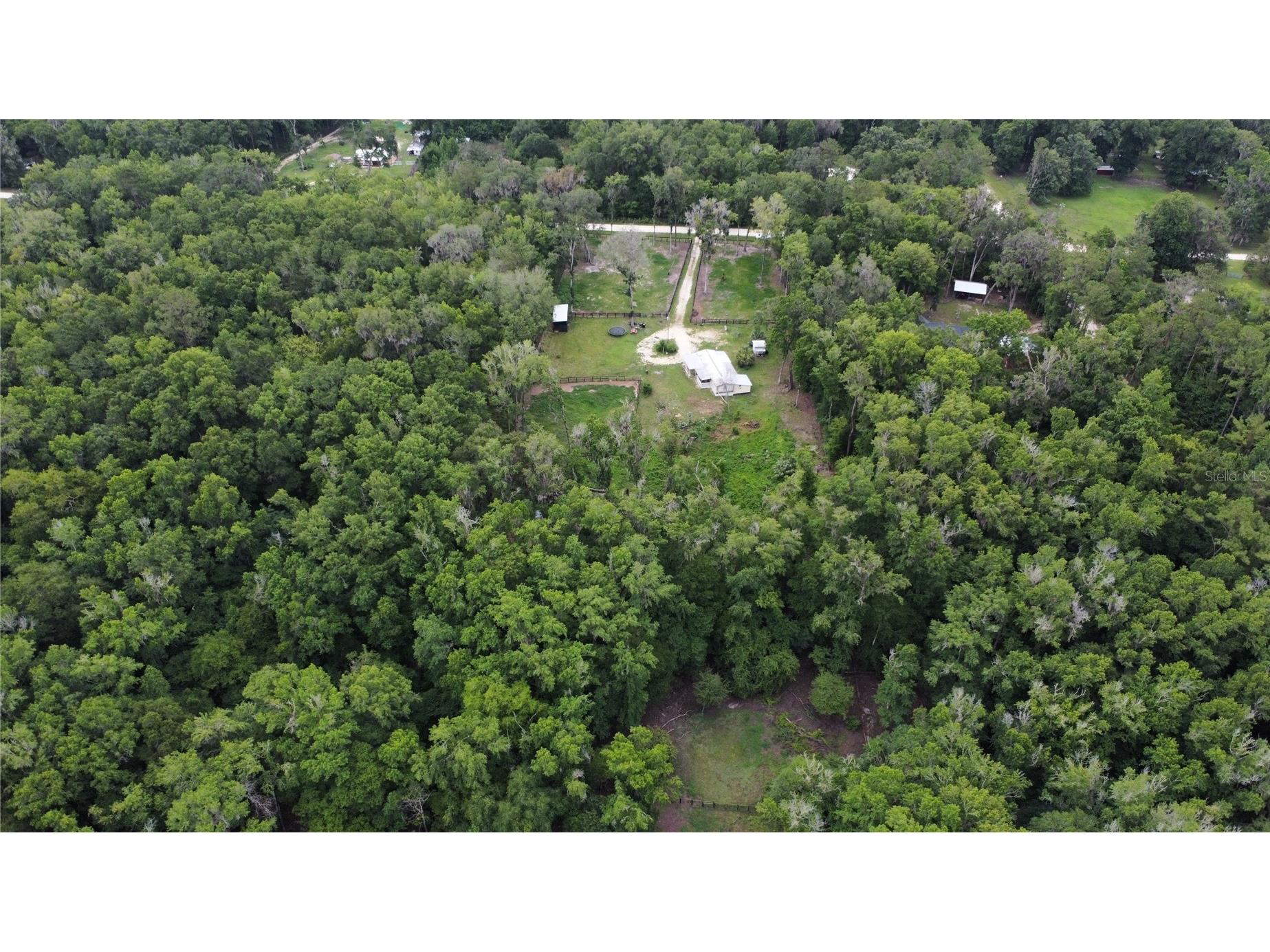 16945 NW 128th Terrace Reddick FL 32686 OM725902 image5