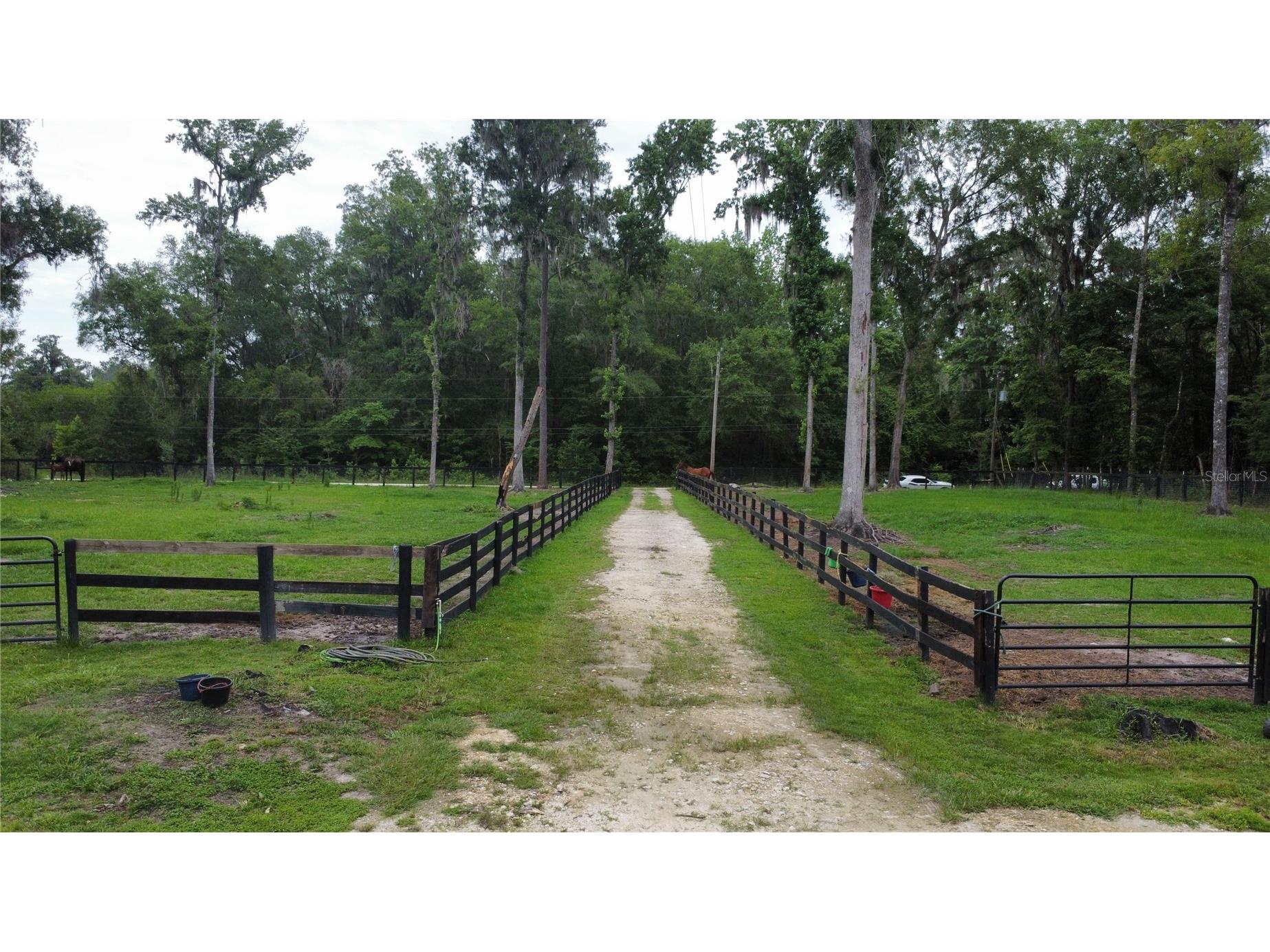 16945 NW 128th Terrace Reddick FL 32686 OM725902 image8