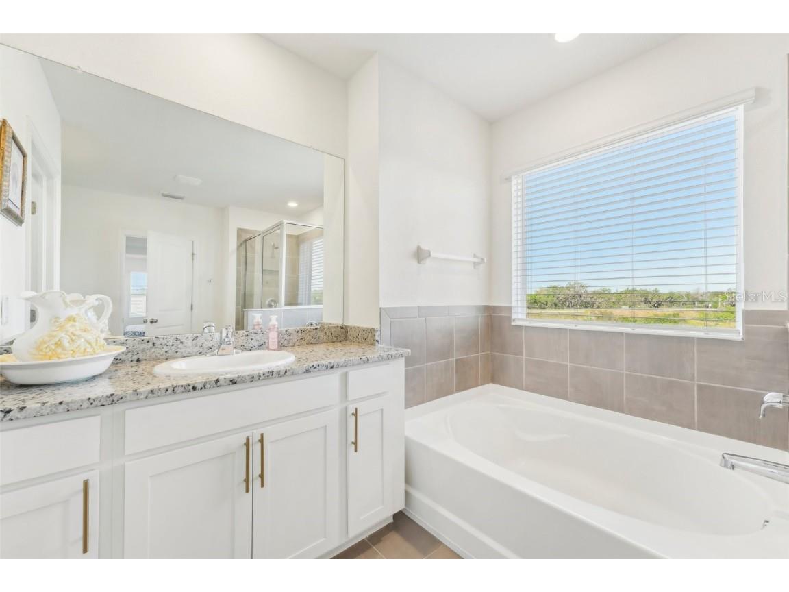 16946 Oval Rum Dr. Wimauma FL 33598 TB8360517 image48