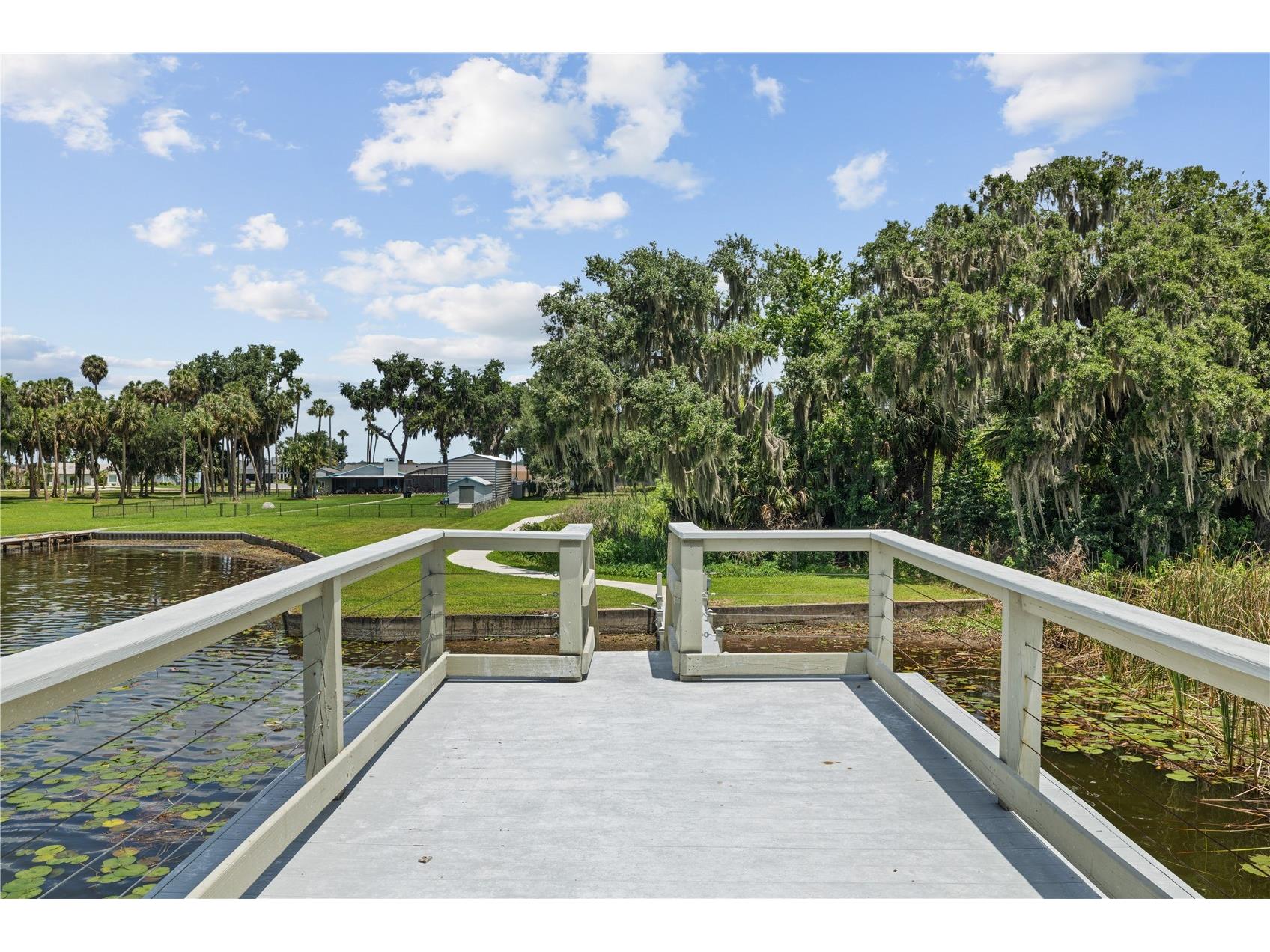 16948 Deer Island Deer Island FL 32778 - LAKE BEAUCLAIRE O6406612 image62